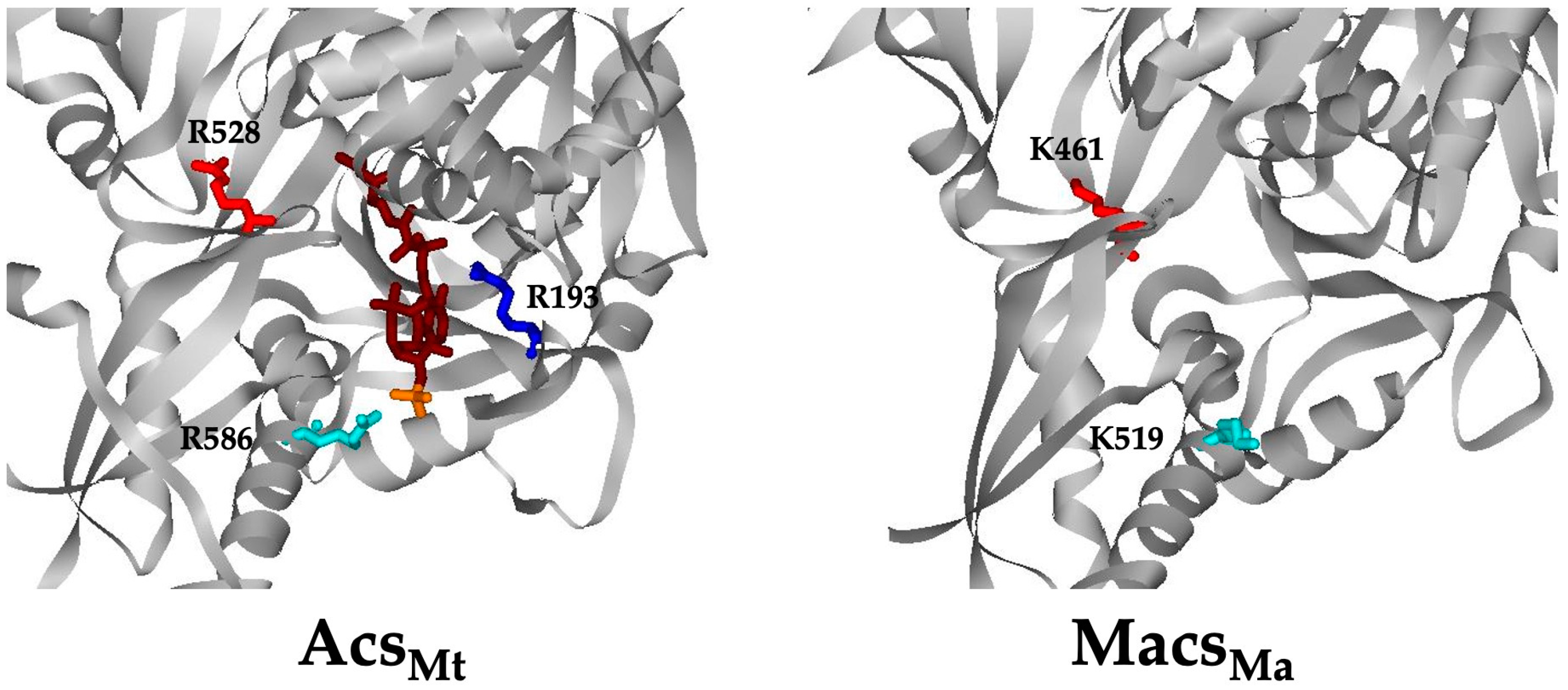 Life 13 01643 g006 Life 13 01643 g006