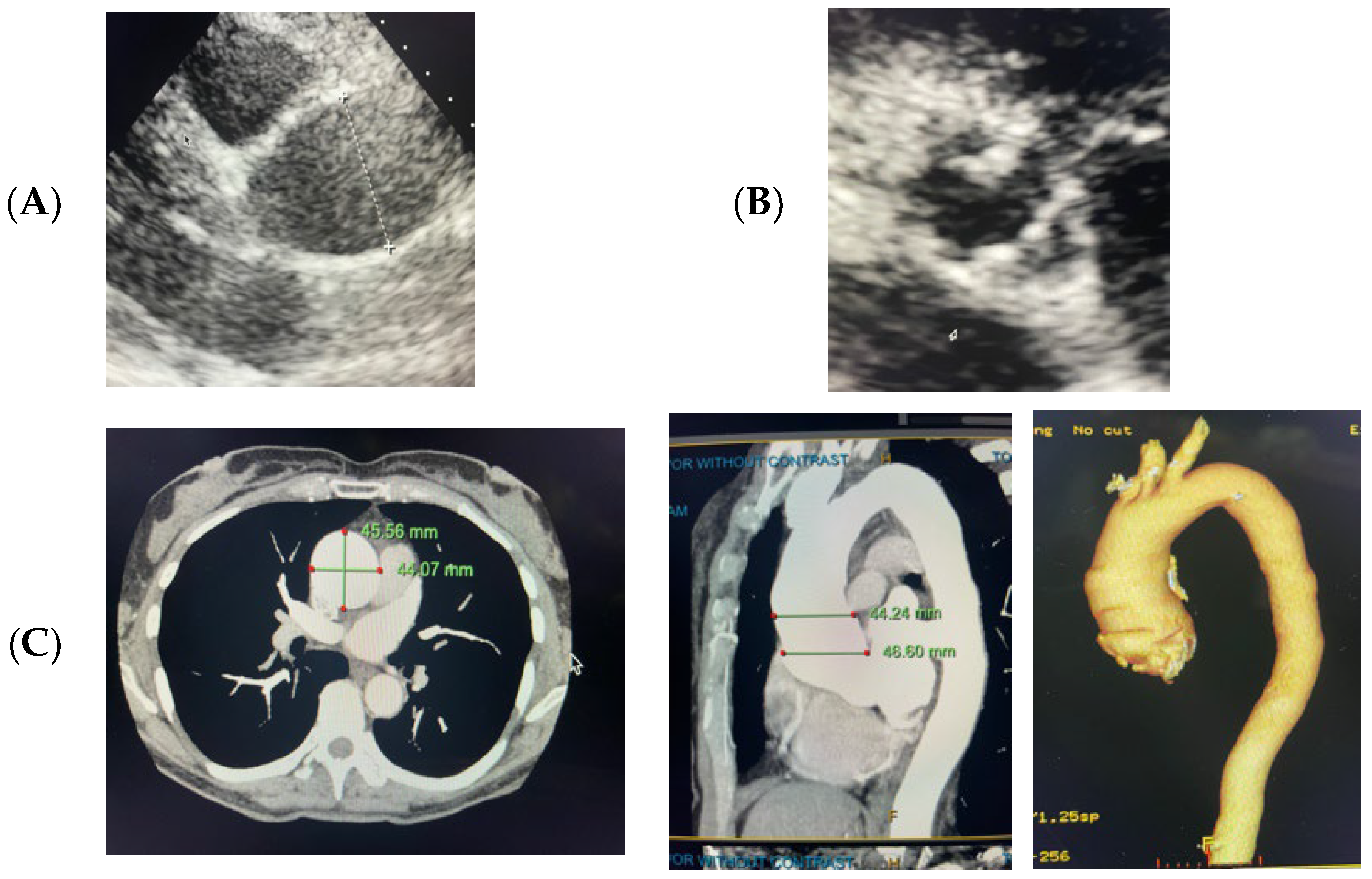 Life 13 01649 g001 Life 13 01649 g001