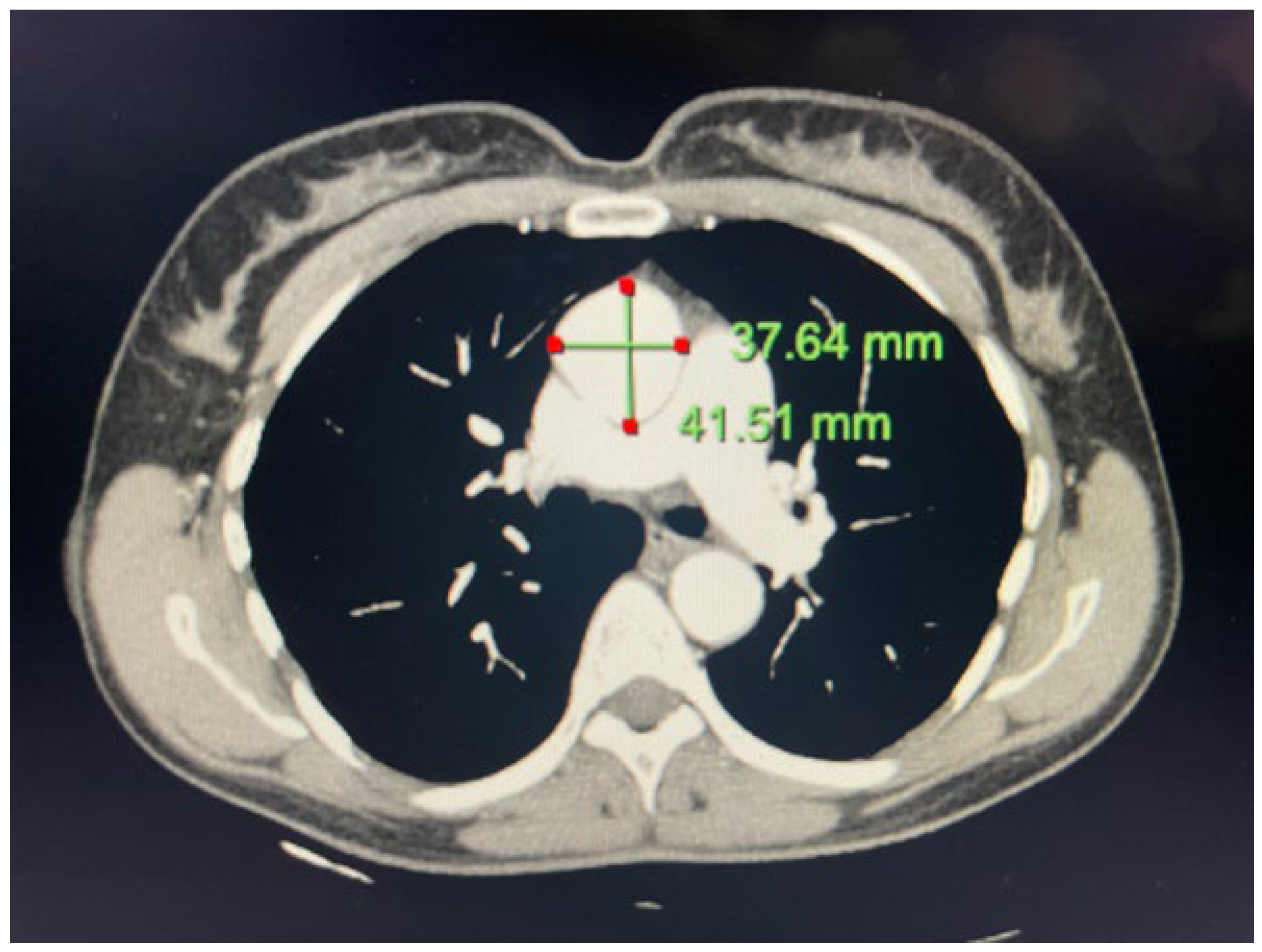 Life 13 01649 g002 Life 13 01649 g002