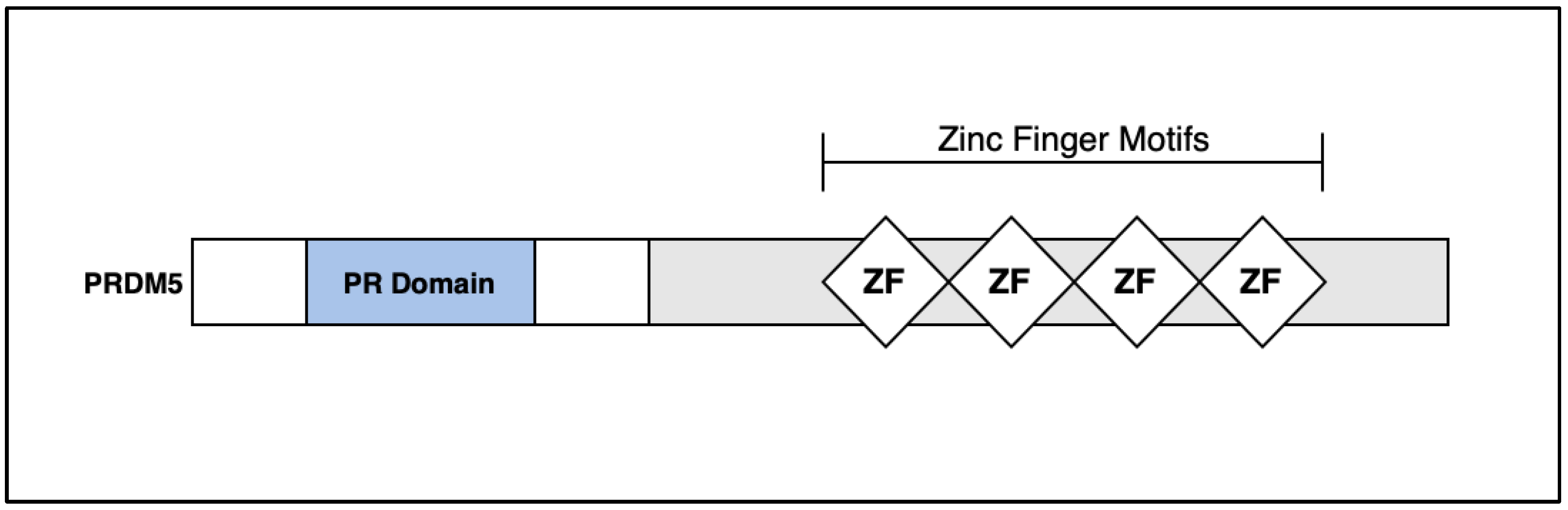 Life 13 01649 g003 Life 13 01649 g003