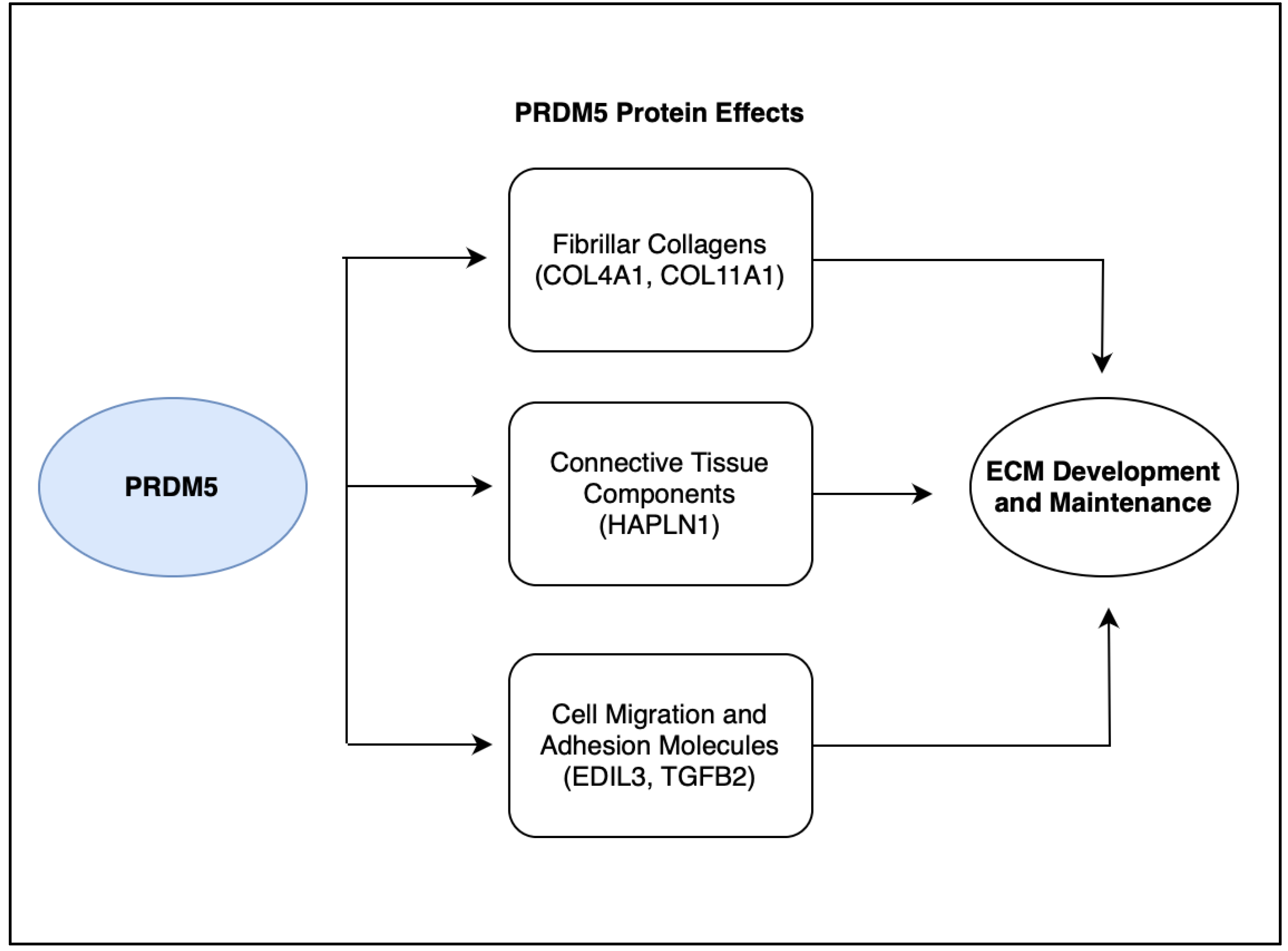 Life 13 01649 g004 Life 13 01649 g004