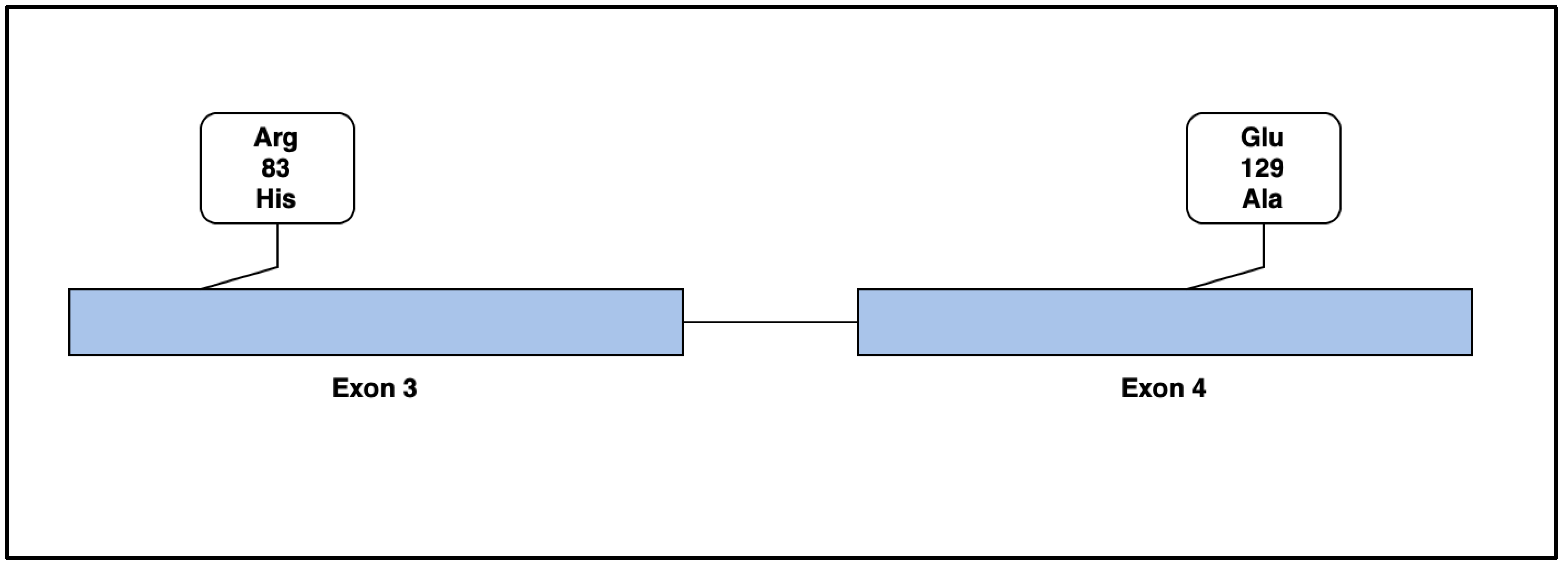 Life 13 01649 g005 Life 13 01649 g005