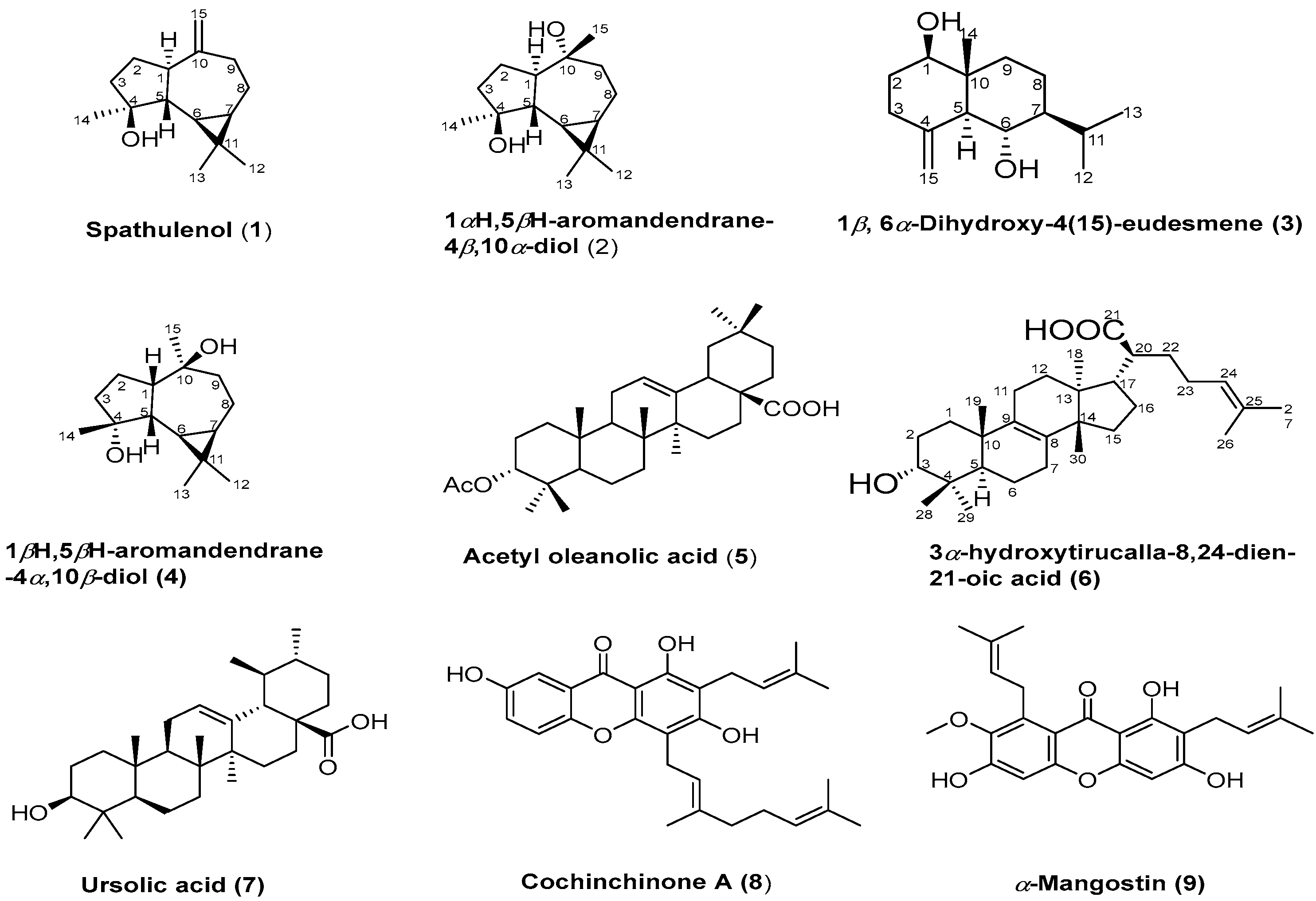 Life 13 01682 g001 Life 13 01682 g001