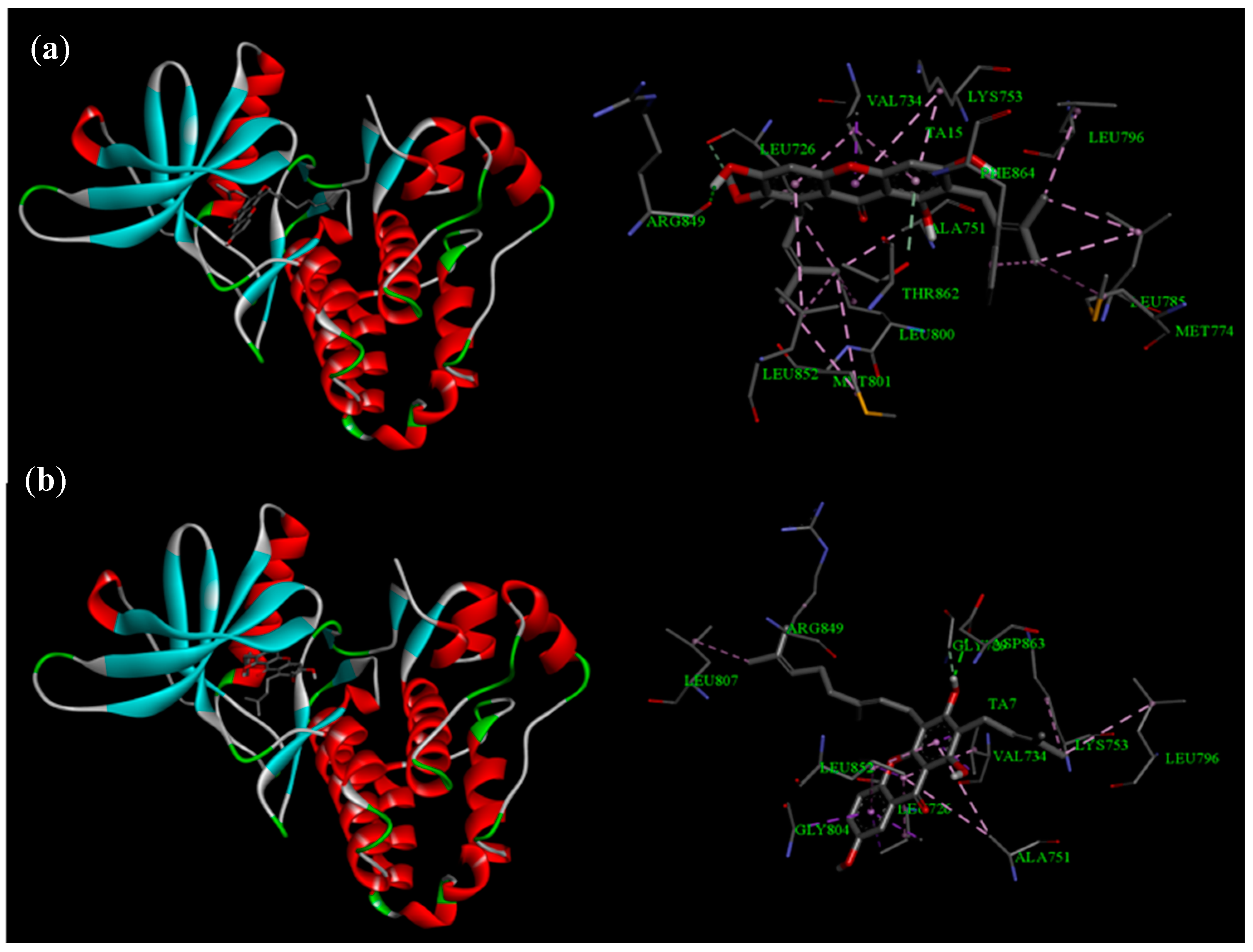 Life 13 01682 g004 Life 13 01682 g004