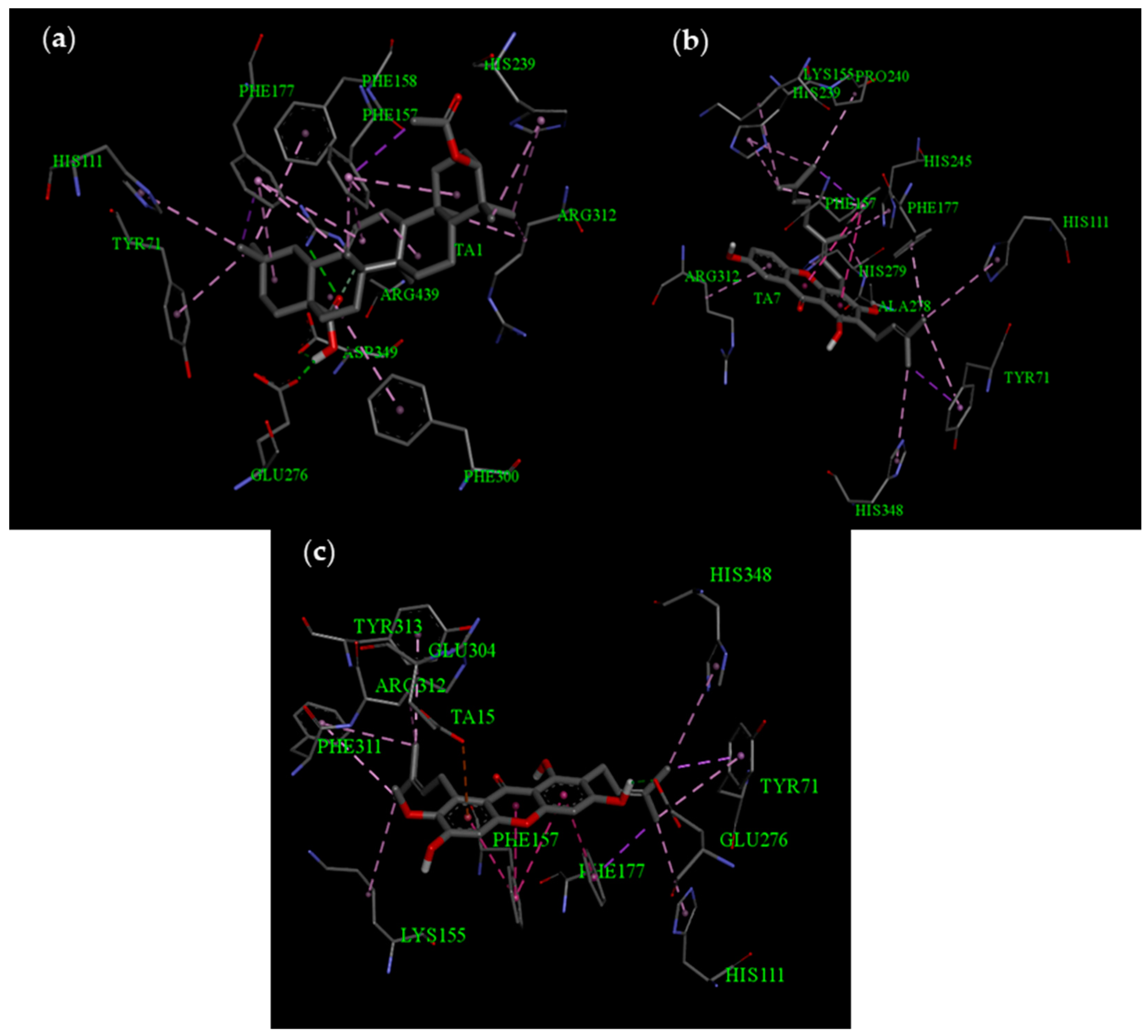 Life 13 01682 g005 Life 13 01682 g005