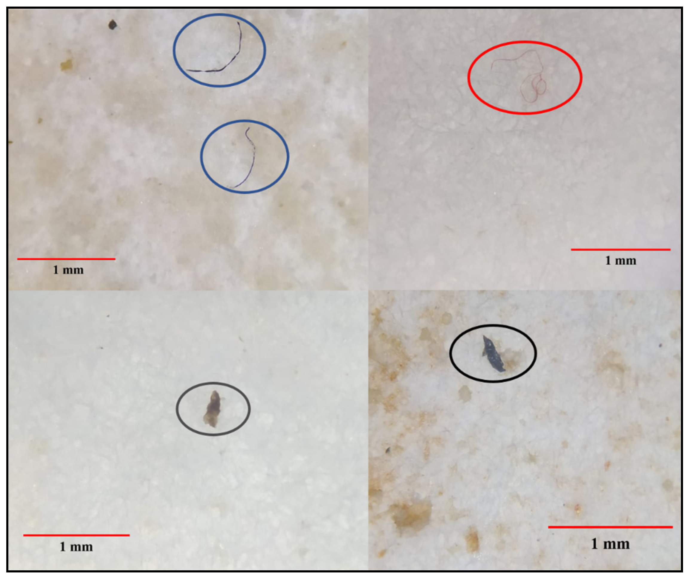 Life 13 01686 g002 Life 13 01686 g002