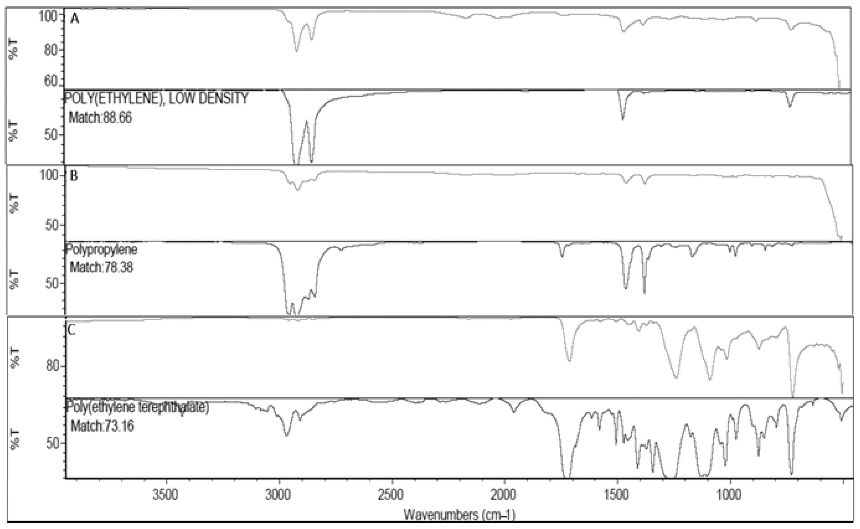 Life 13 01686 g005 Life 13 01686 g005