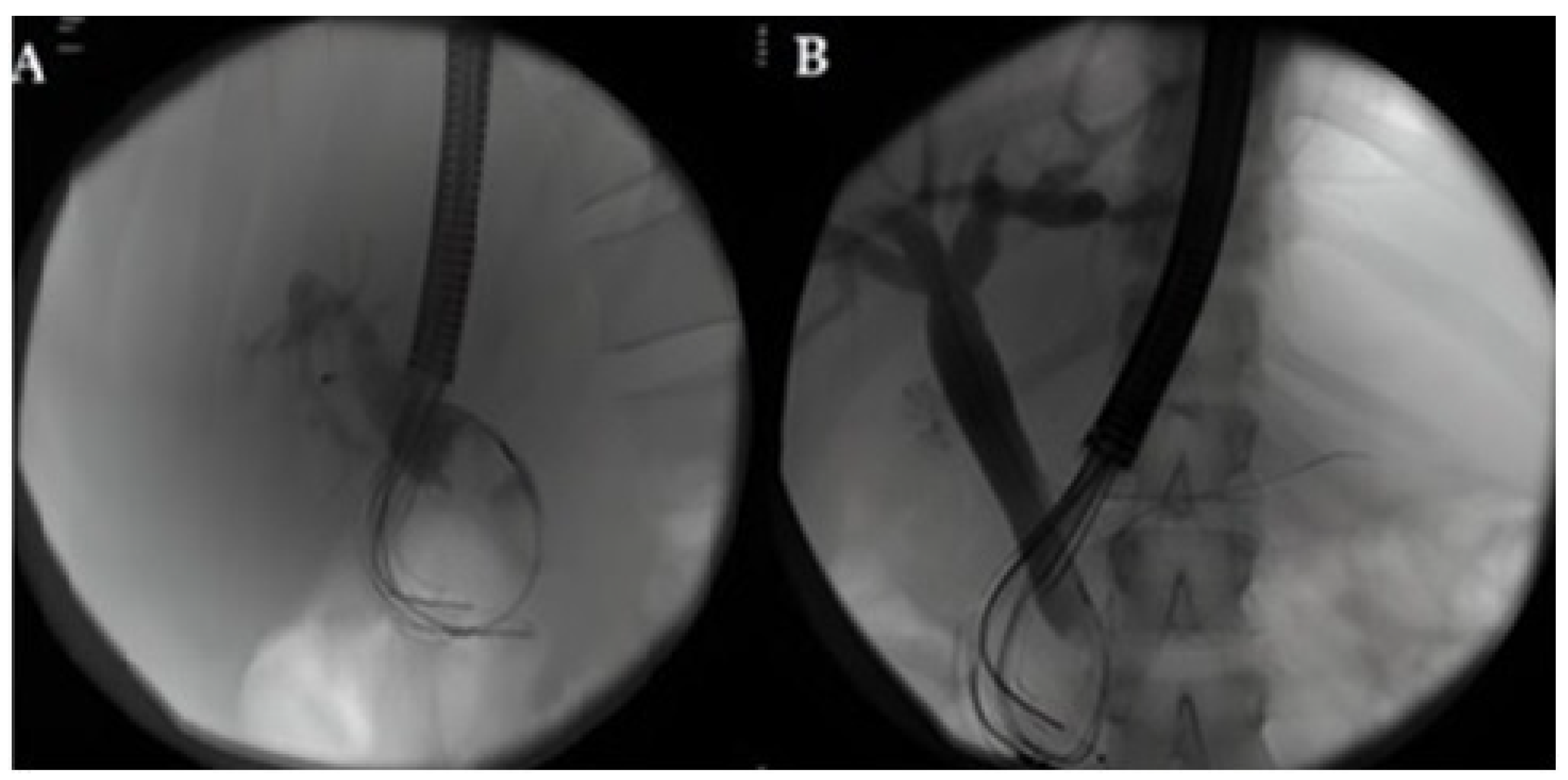 Life 13 01694 g002 Life 13 01694 g002