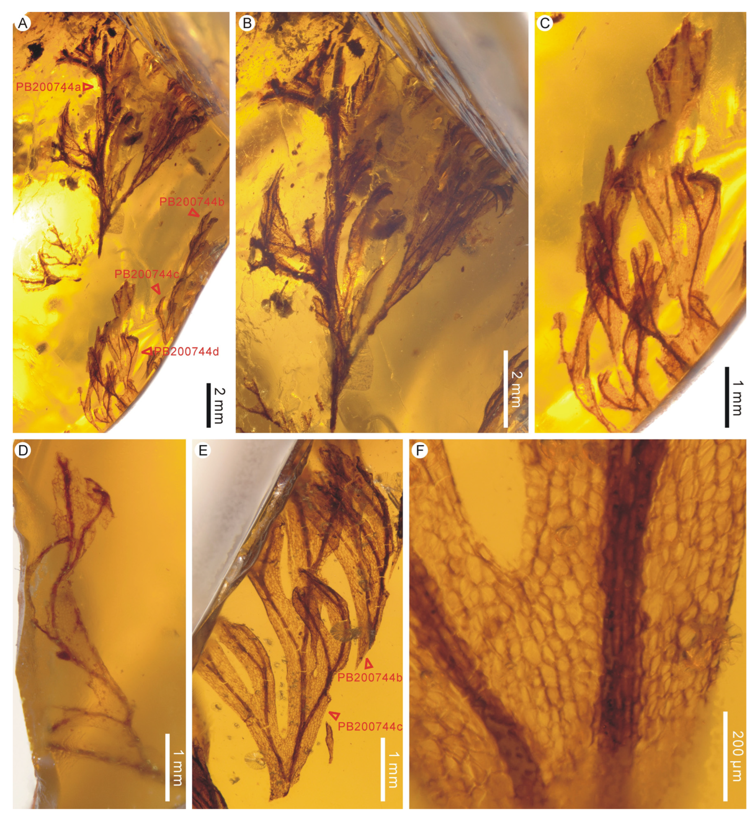 Life 13 01709 g001 Life 13 01709 g001