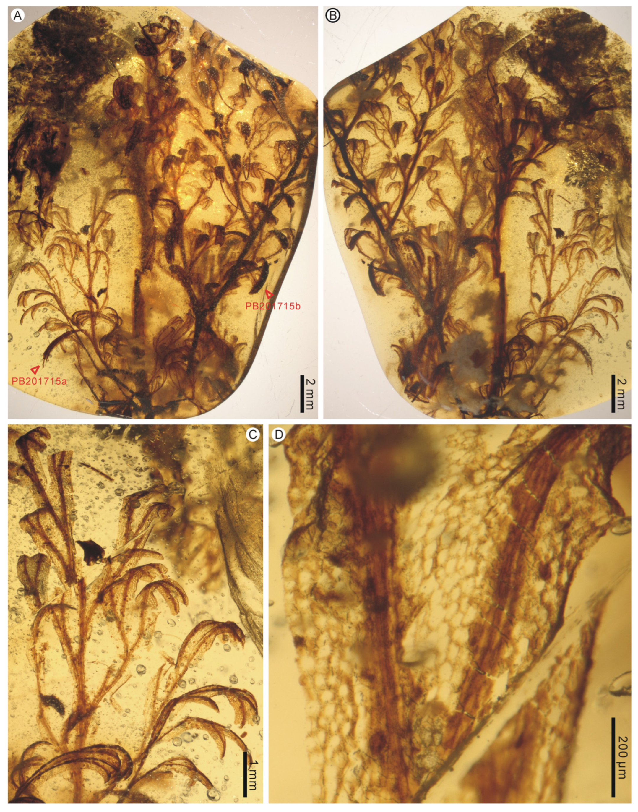 Life 13 01709 g002 Life 13 01709 g002