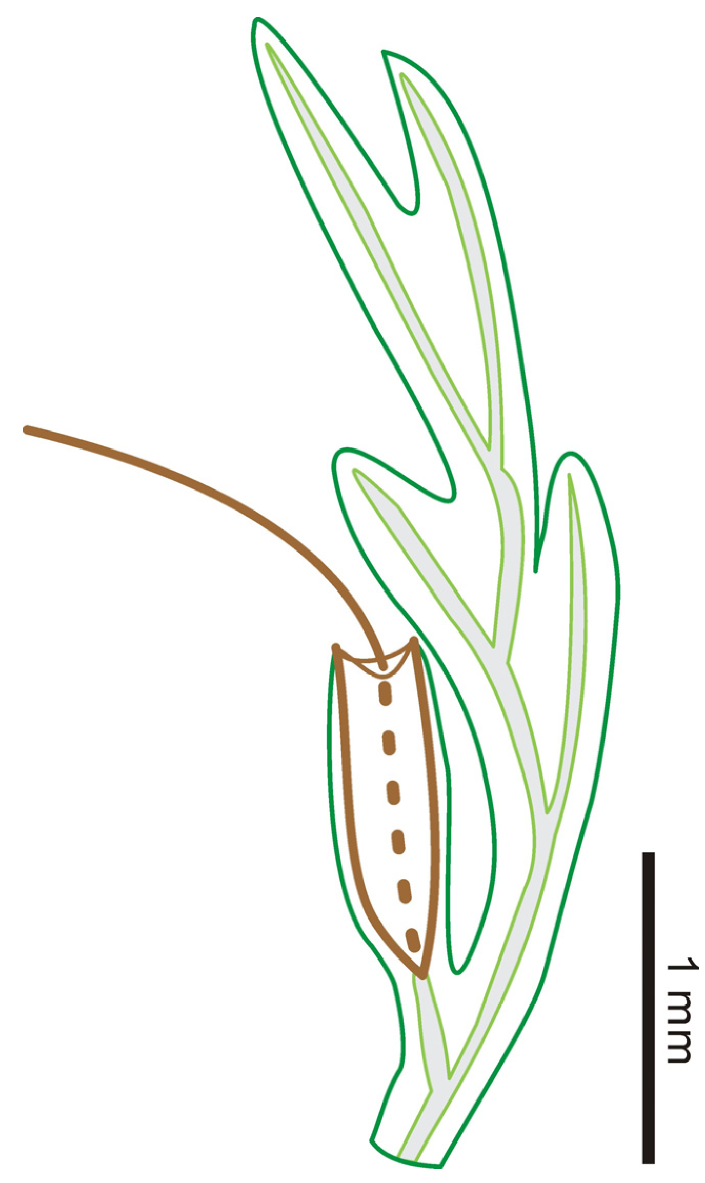 Life 13 01709 g004 Life 13 01709 g004