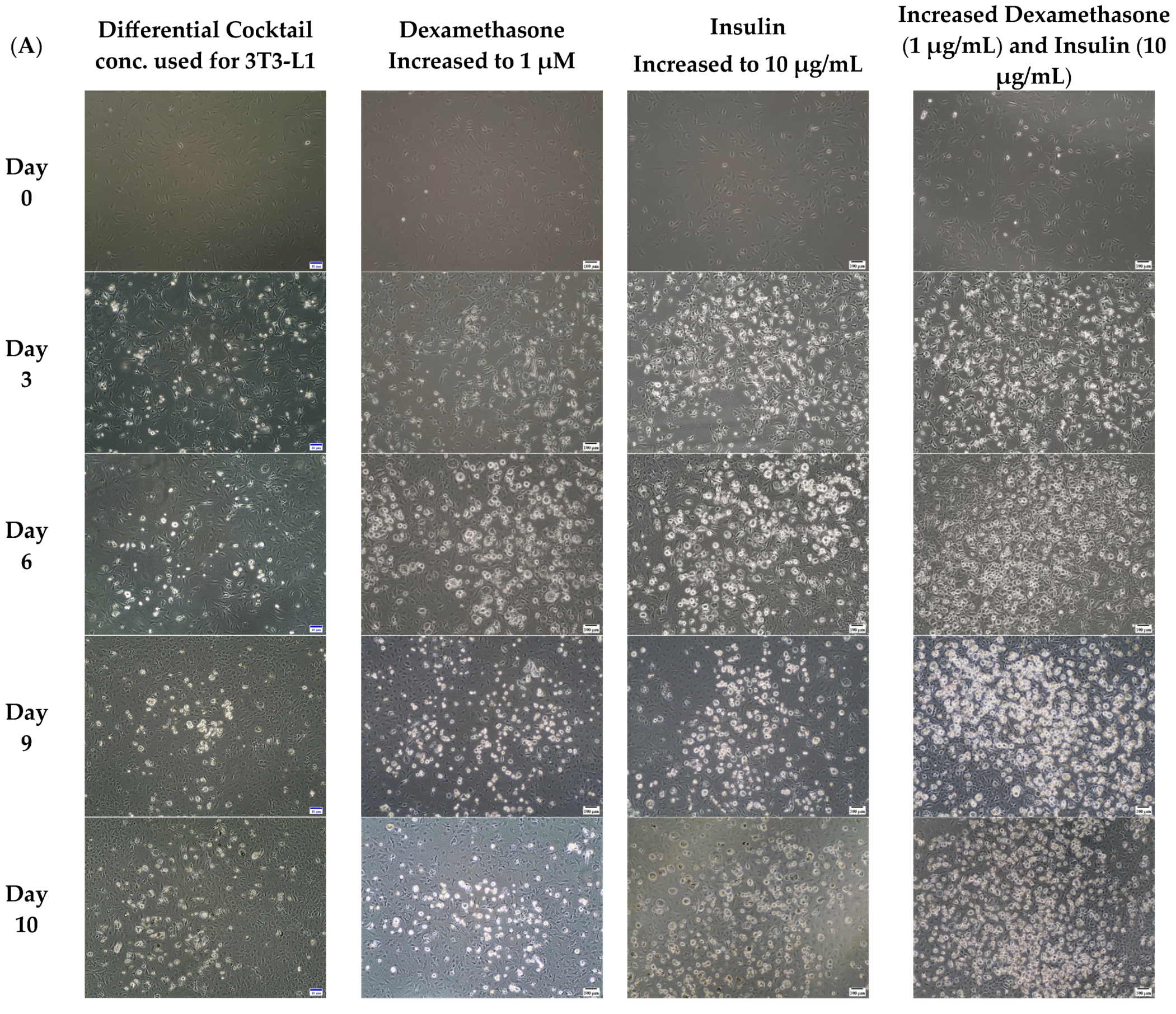 Life 13 01712 g001a Life 13 01712 g001a