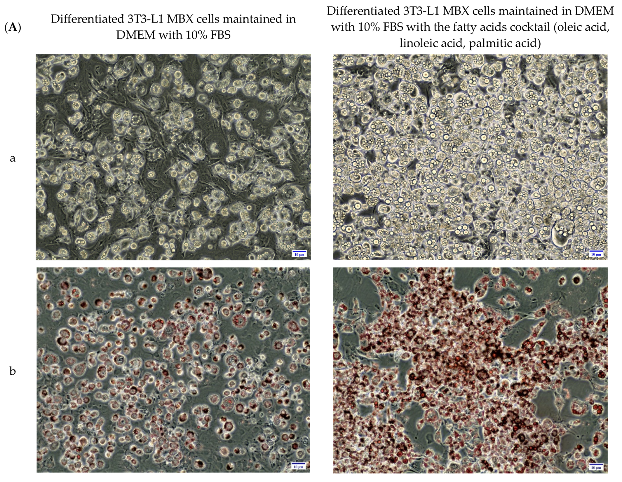 Life 13 01712 g004a Life 13 01712 g004a