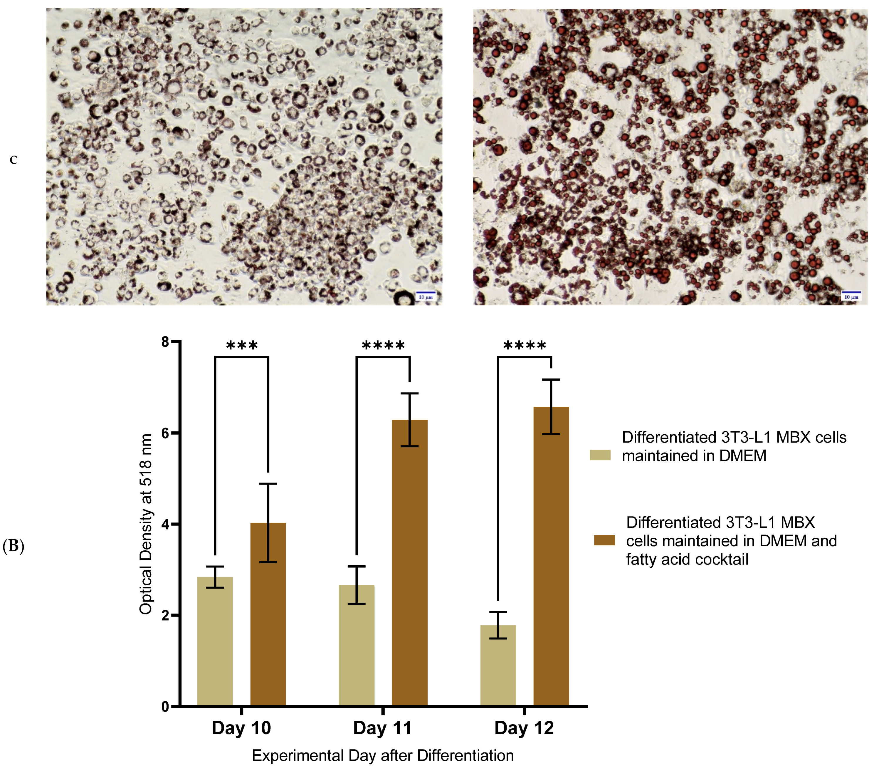Life 13 01712 g004b Life 13 01712 g004b