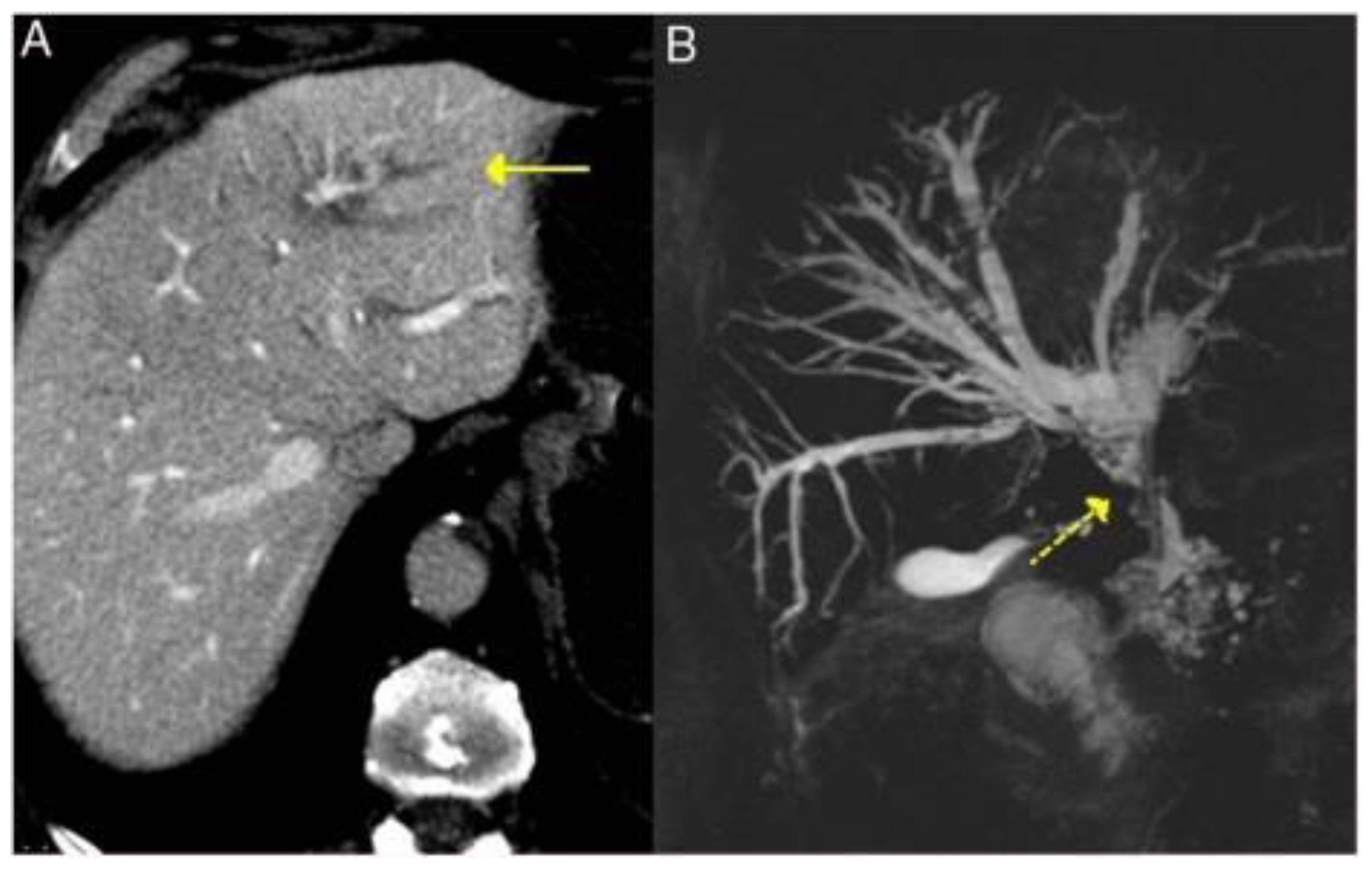Life 13 01725 g004 Life 13 01725 g004
