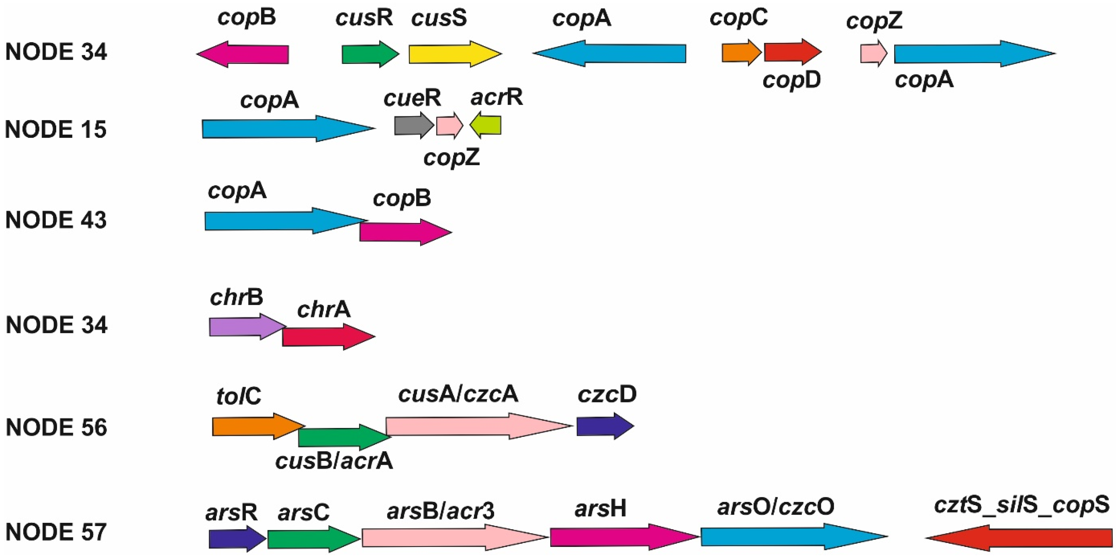 Life 13 01728 g002 Life 13 01728 g002