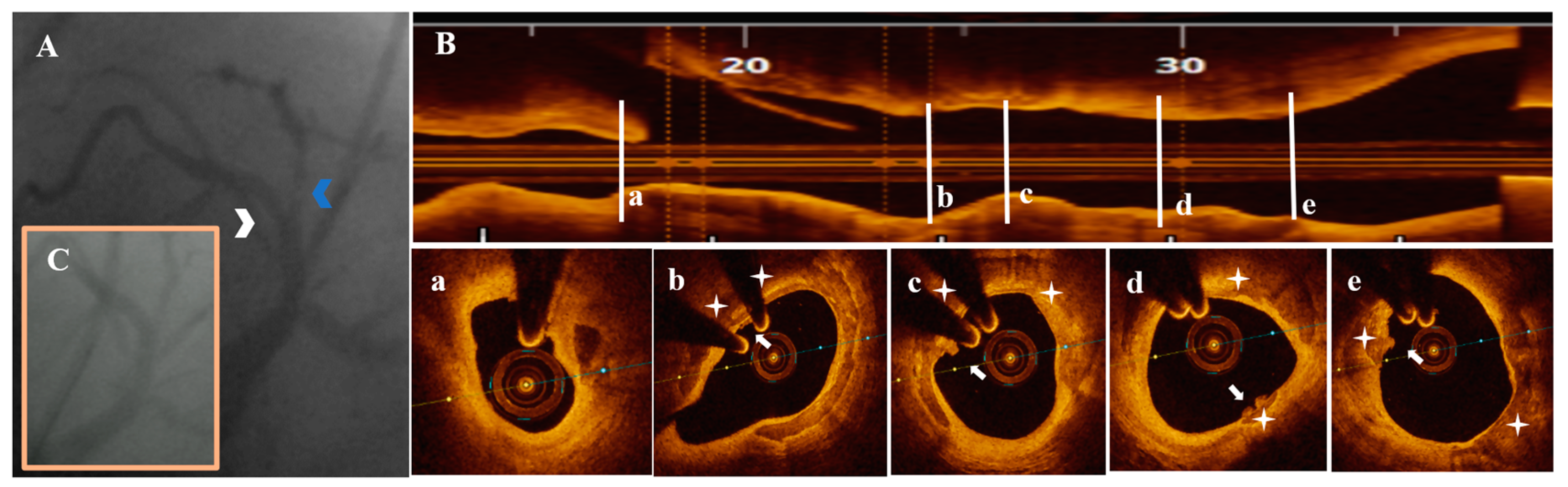 Life 13 01732 g001 Life 13 01732 g001