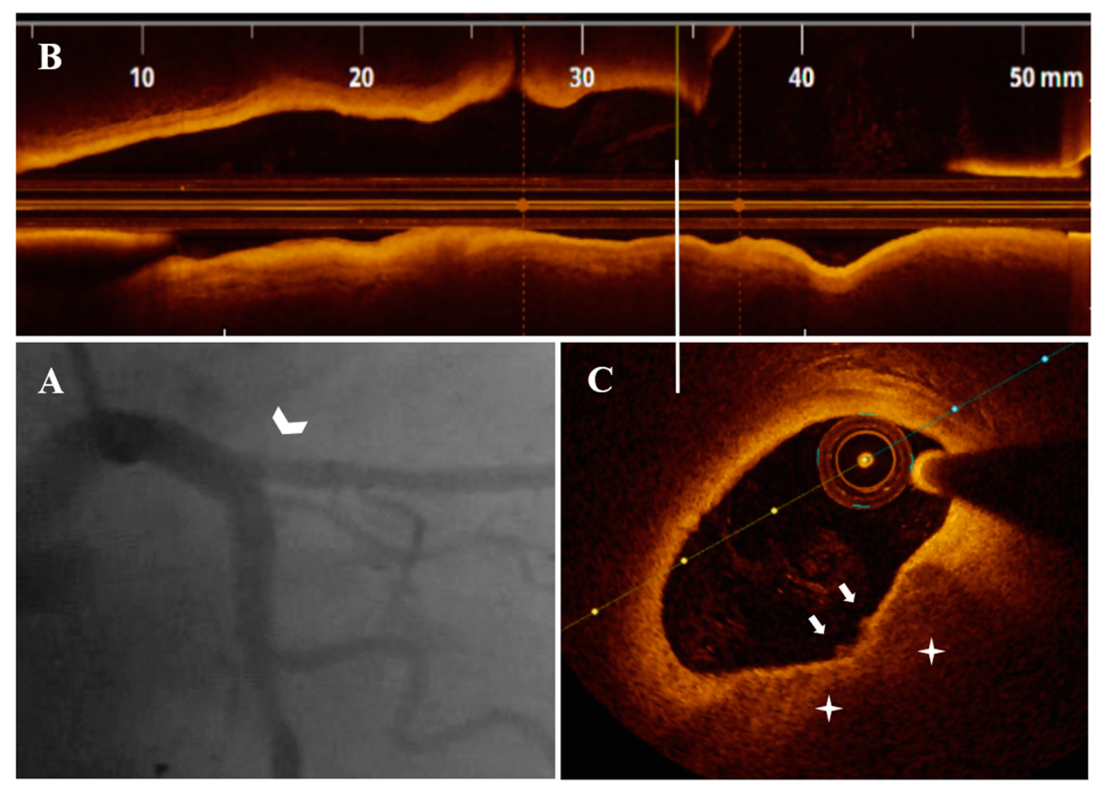 Life 13 01732 g002 Life 13 01732 g002