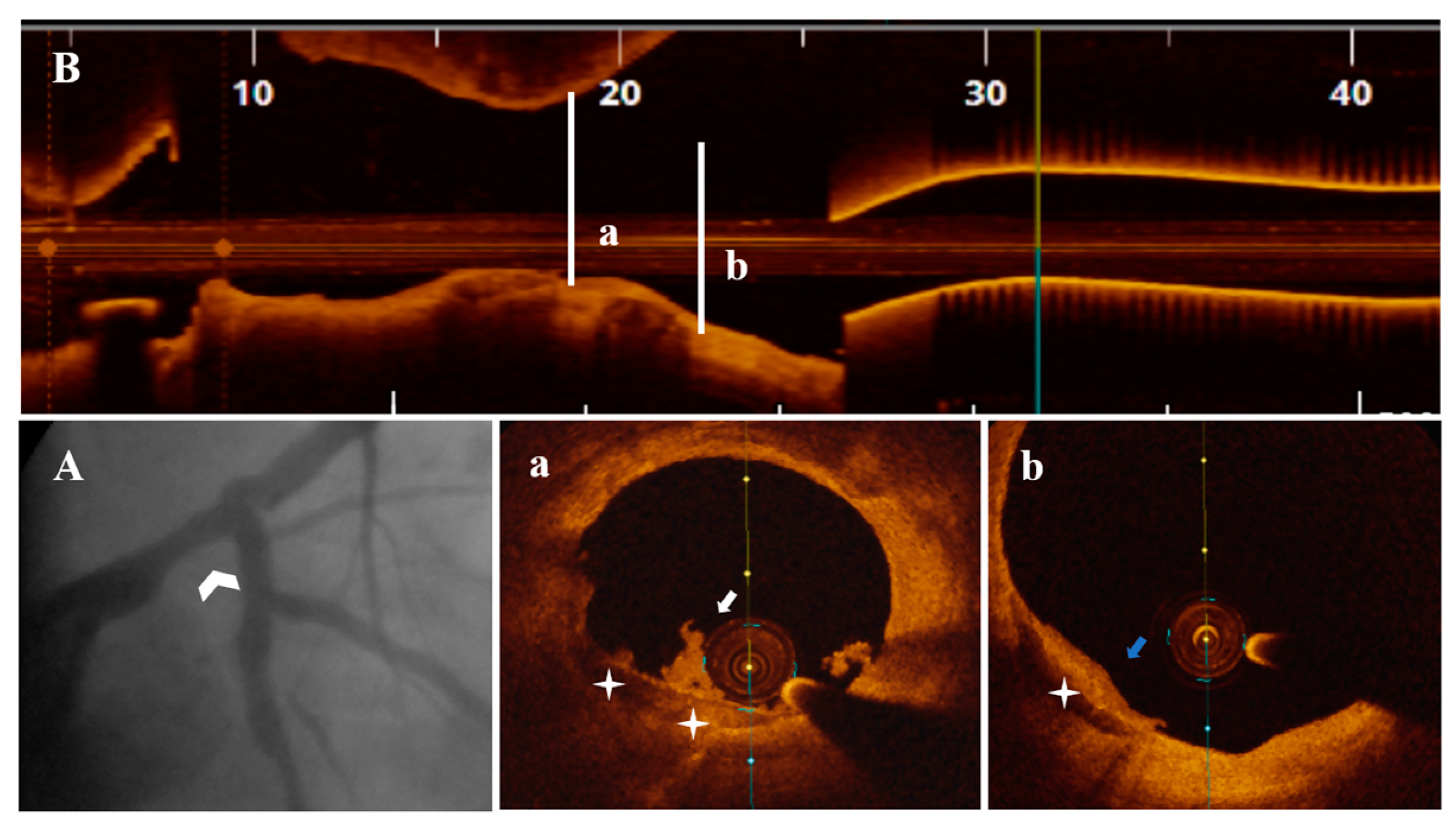 Life 13 01732 g003 Life 13 01732 g003