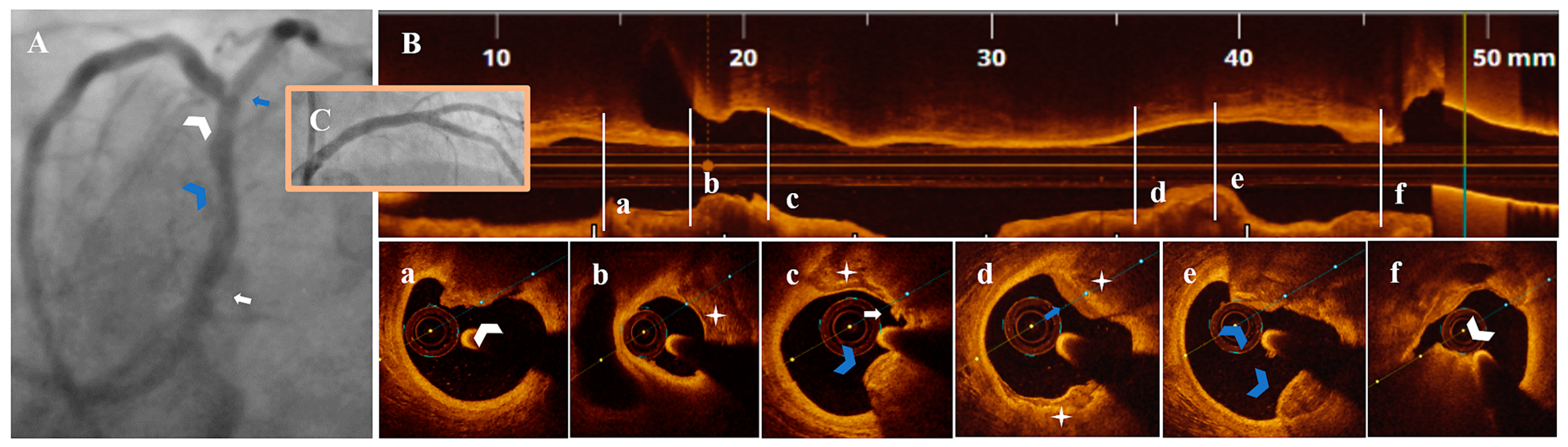 Life 13 01732 g004 Life 13 01732 g004