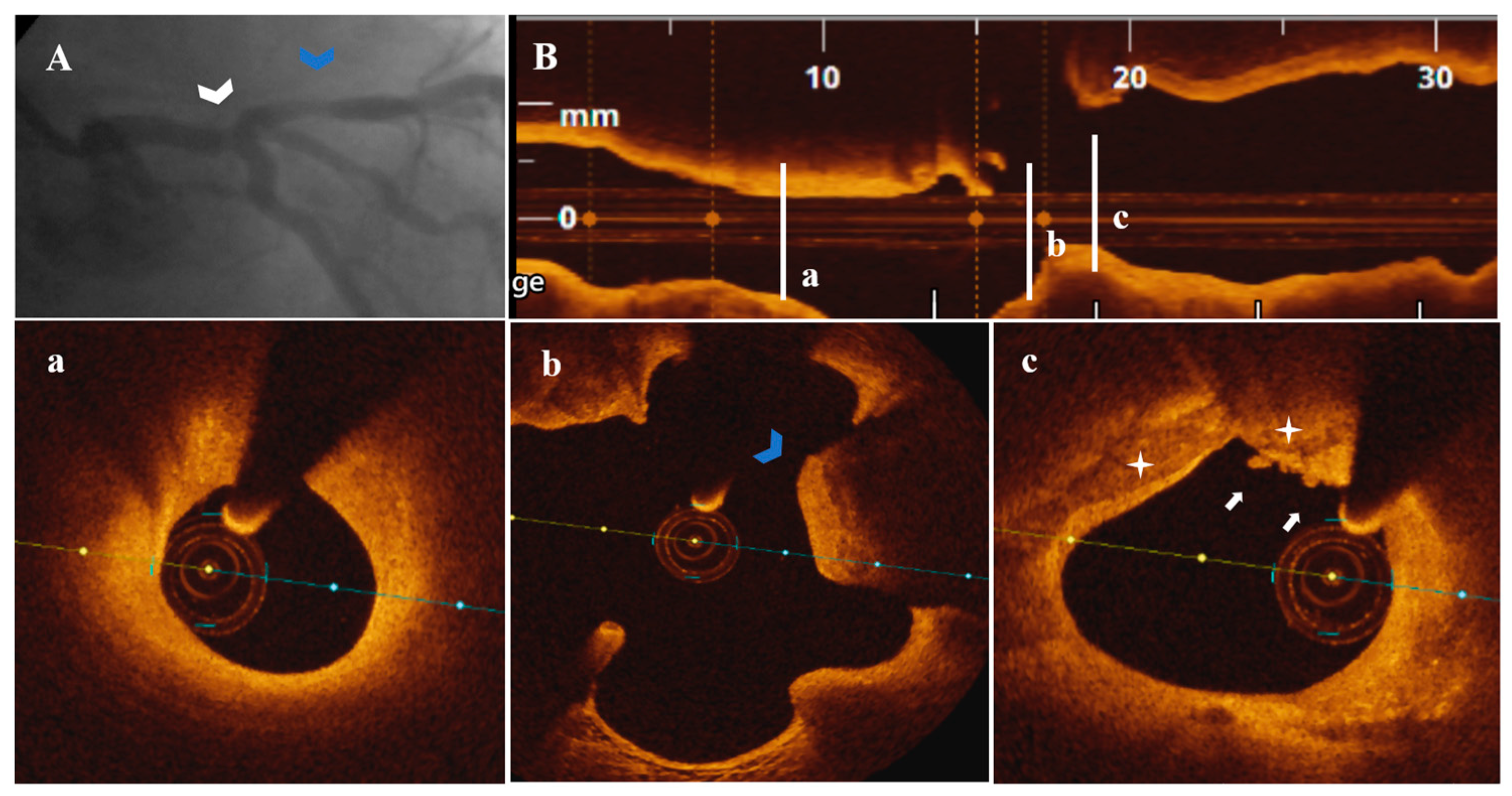 Life 13 01732 g005 Life 13 01732 g005