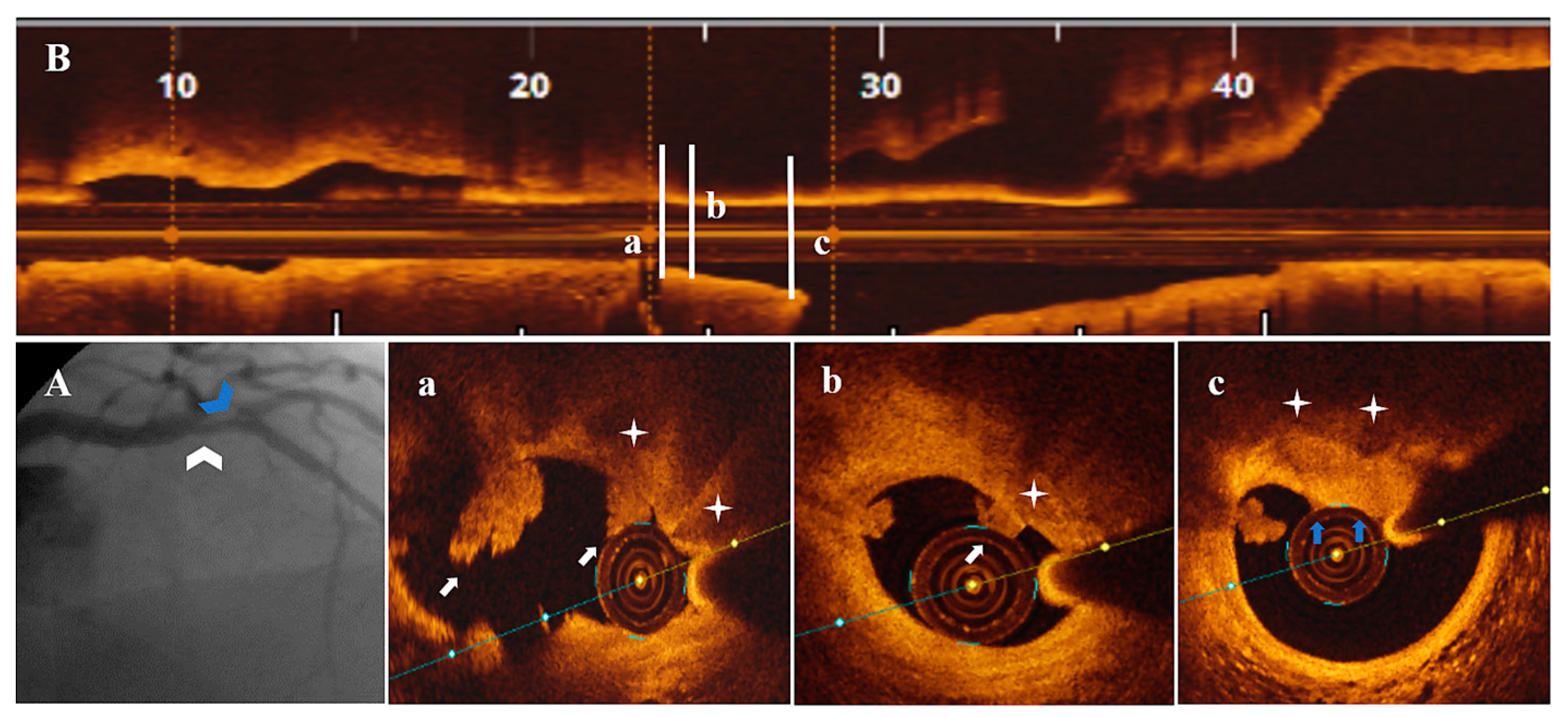 Life 13 01732 g006 Life 13 01732 g006