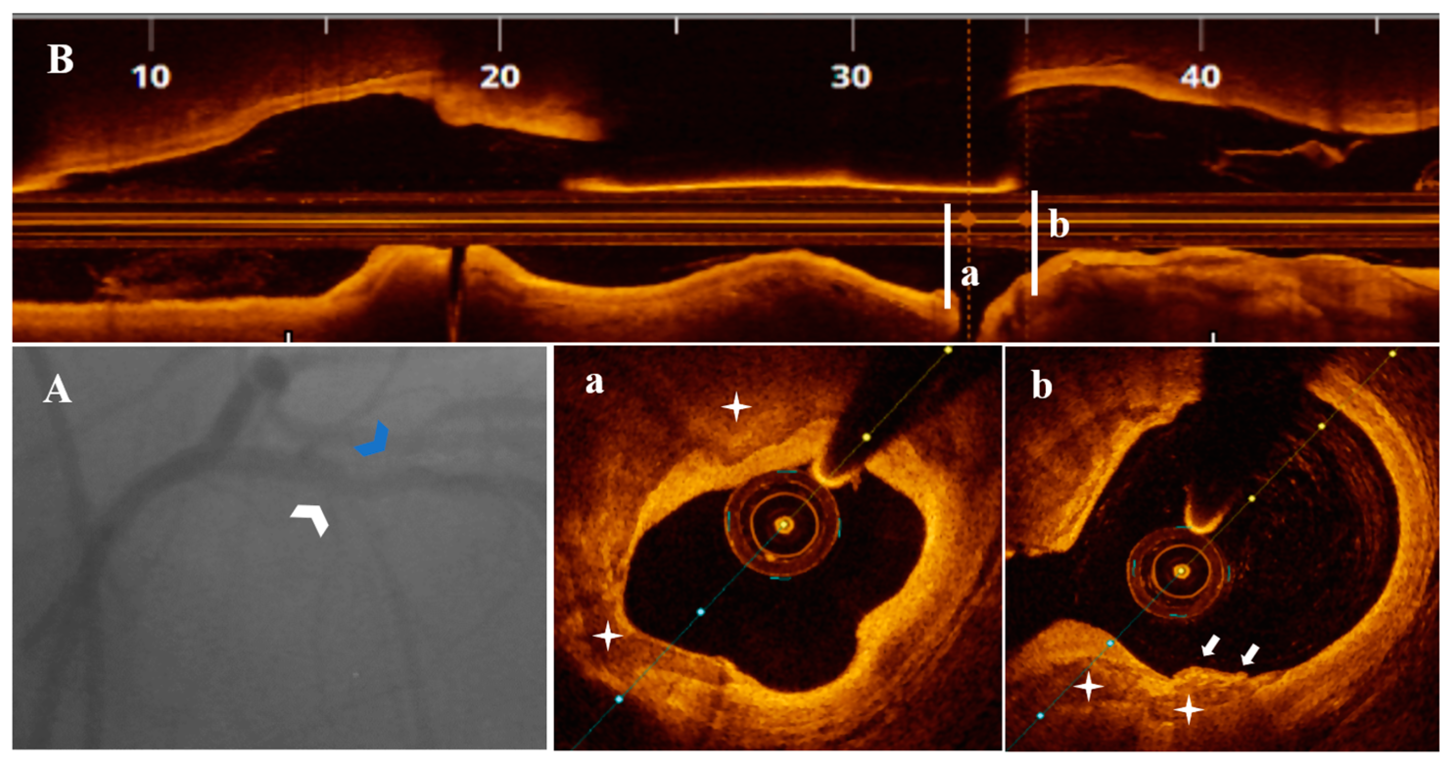 Life 13 01732 g007 Life 13 01732 g007