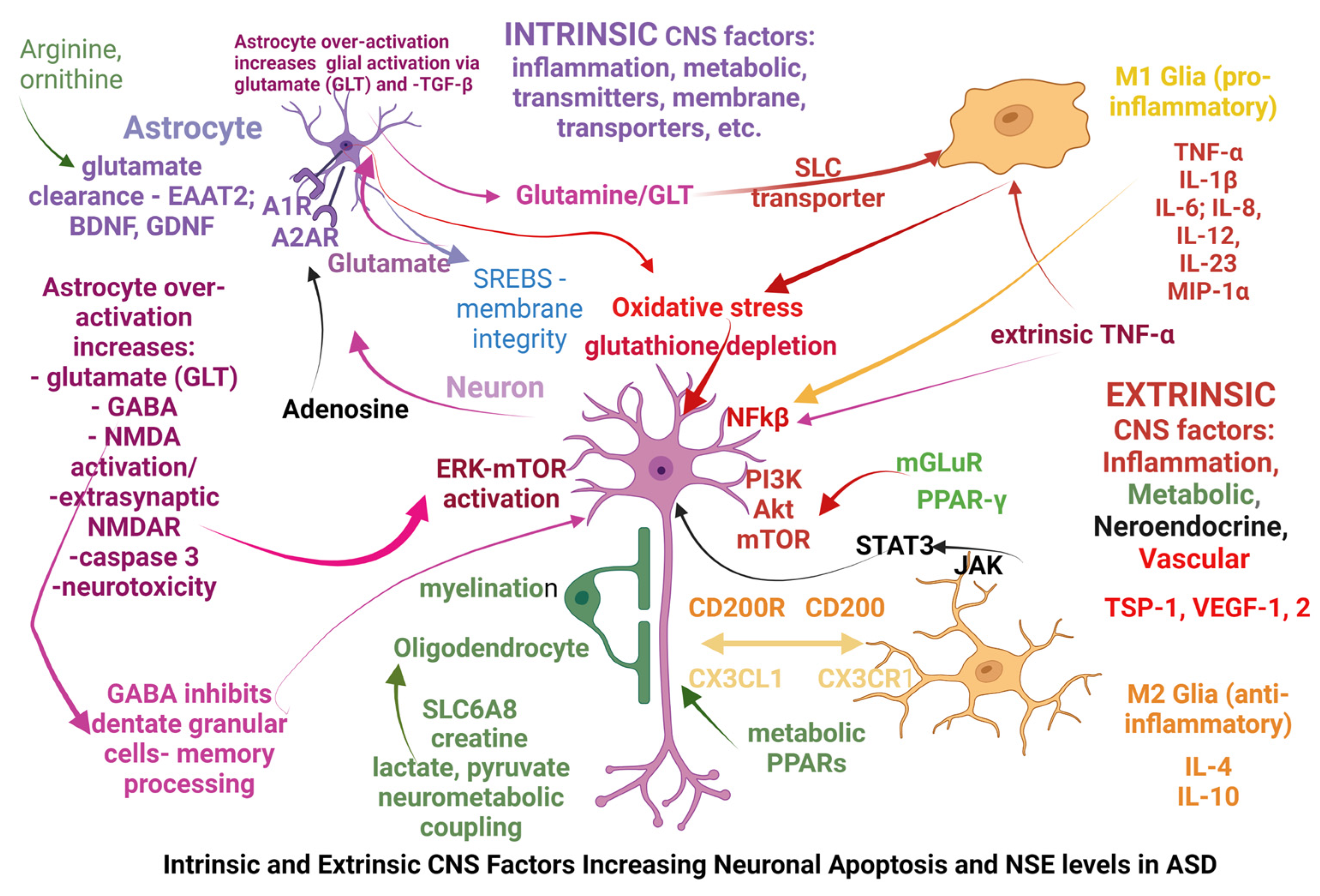 Life 13 01736 g002 Life 13 01736 g002