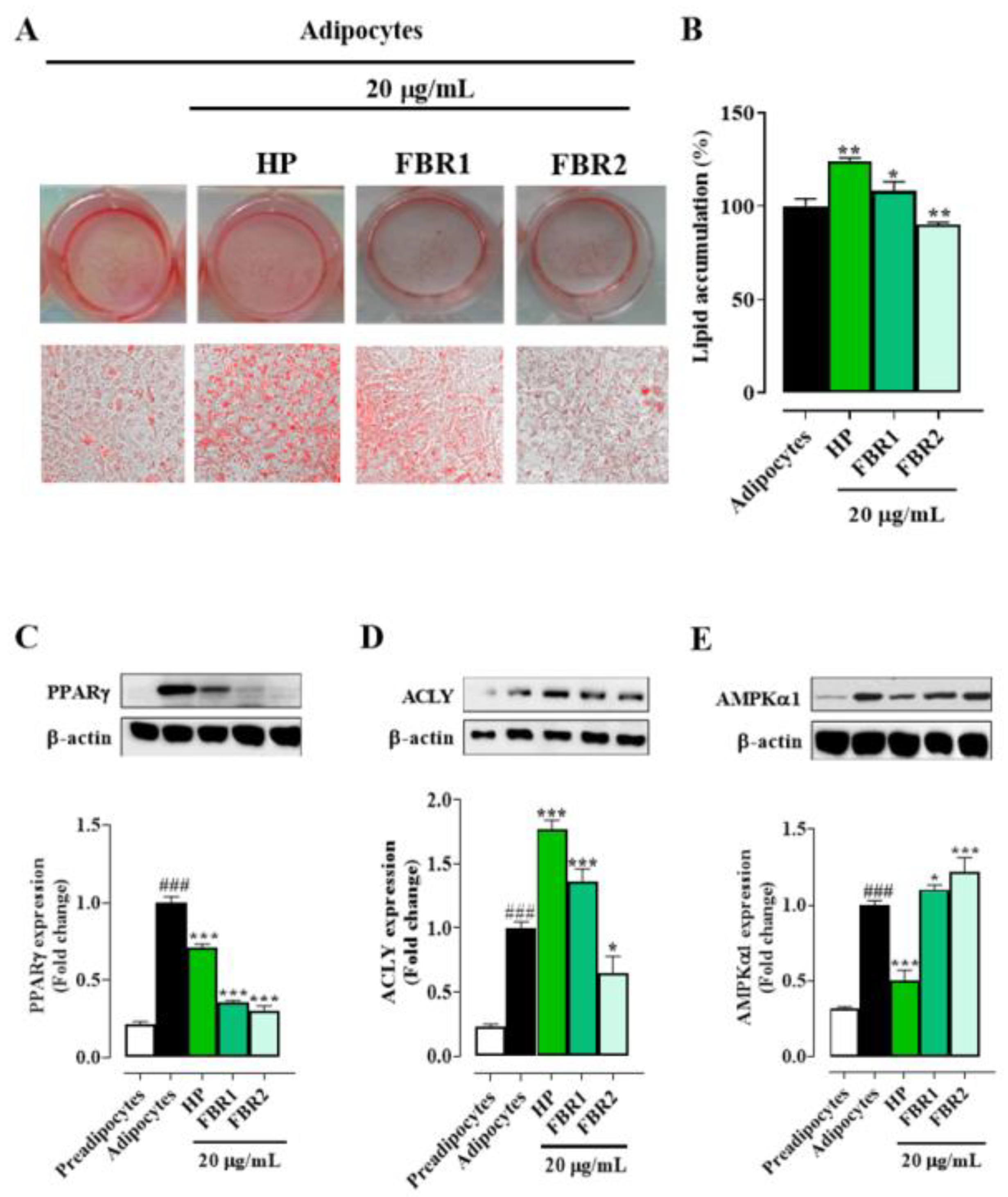 Life 13 01737 g002 Life 13 01737 g002