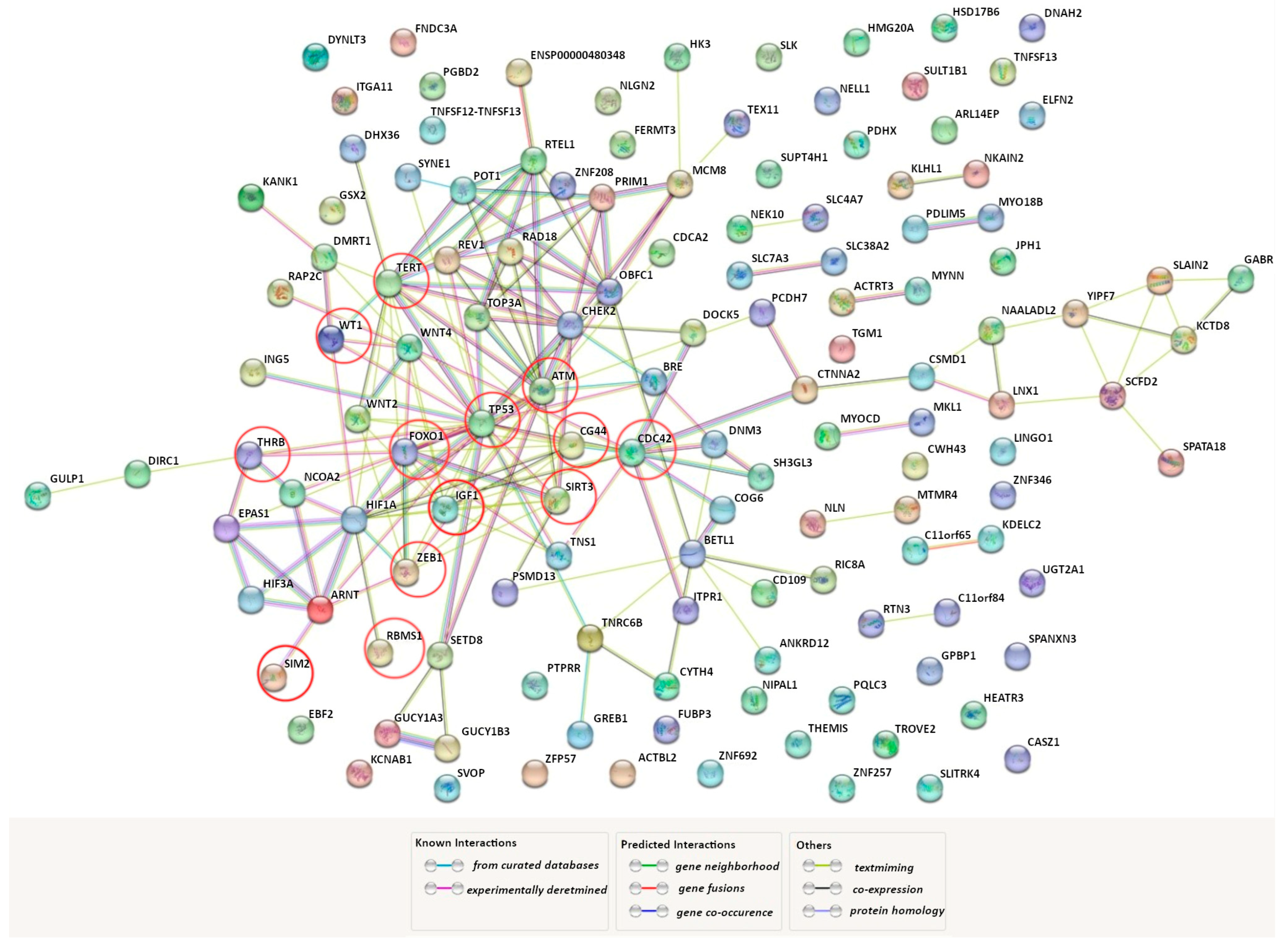 Life 13 01740 g001 Life 13 01740 g001
