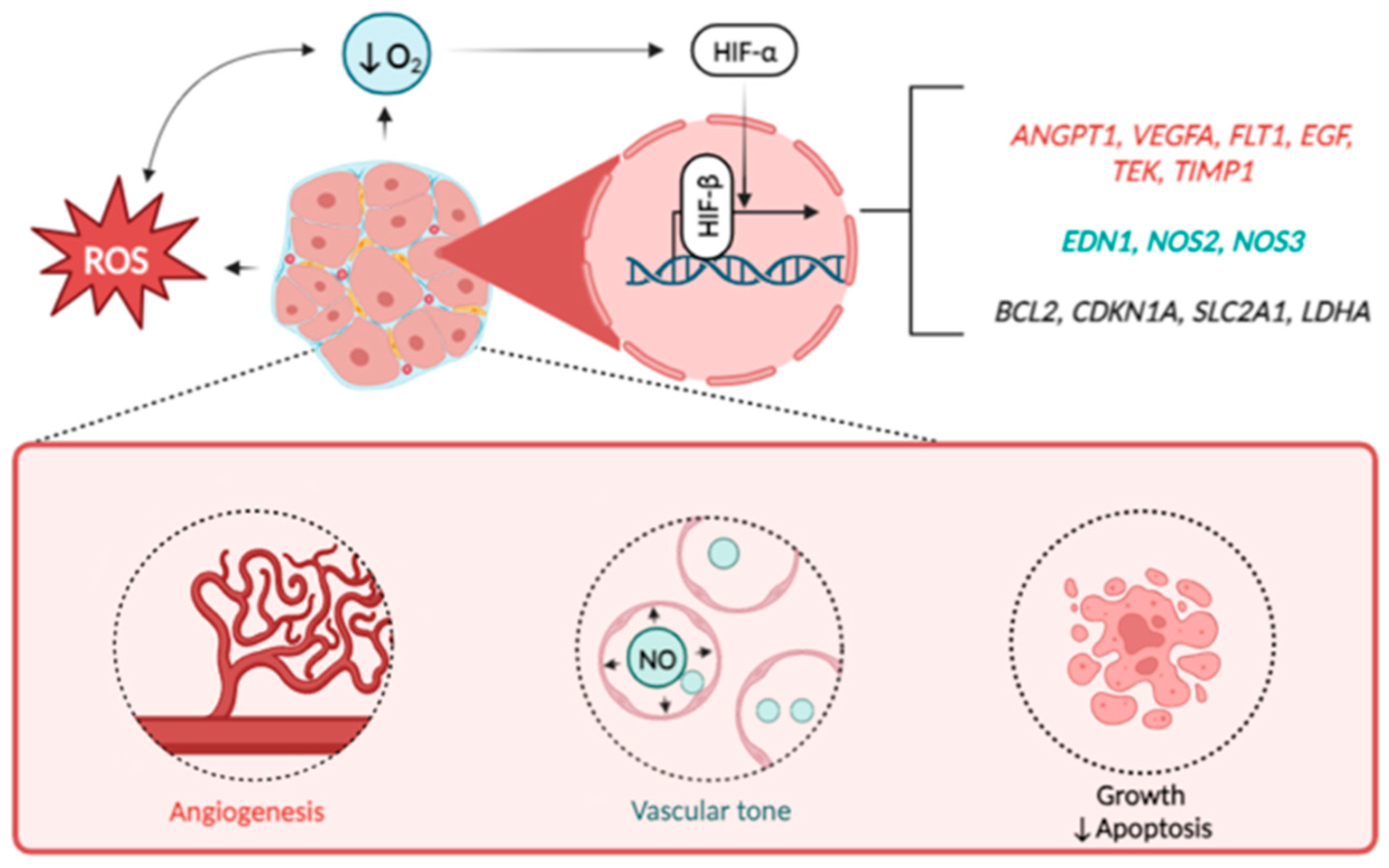 Life 13 01740 g002 Life 13 01740 g002