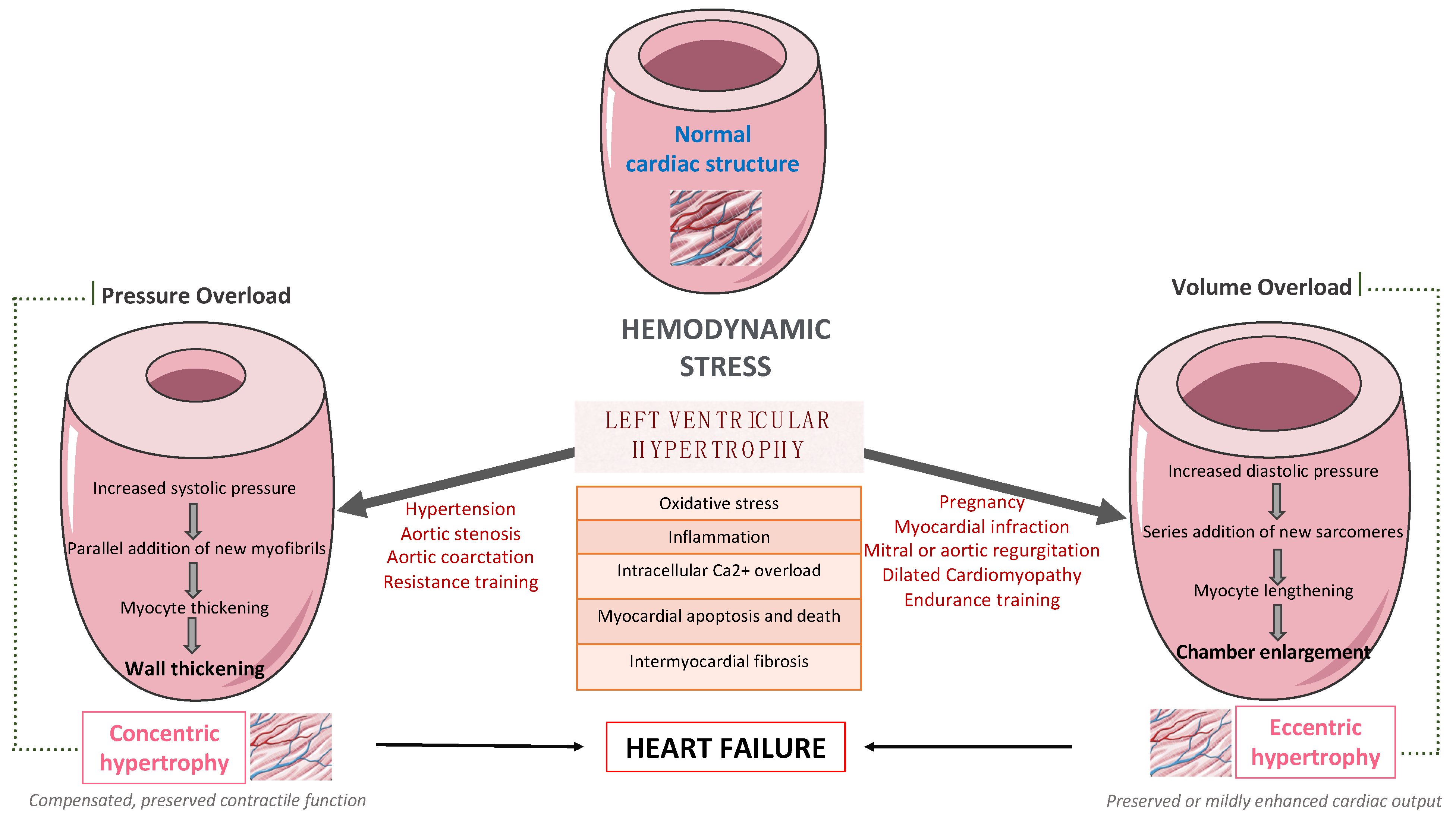 Life 13 01742 g001 Life 13 01742 g001