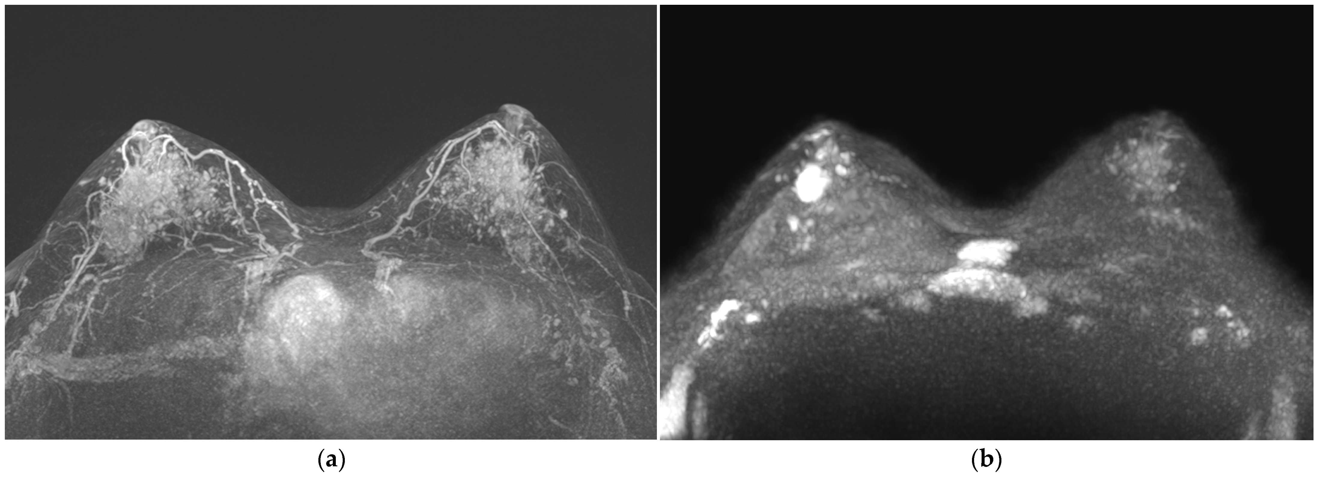 Life 13 01744 g005 Life 13 01744 g005