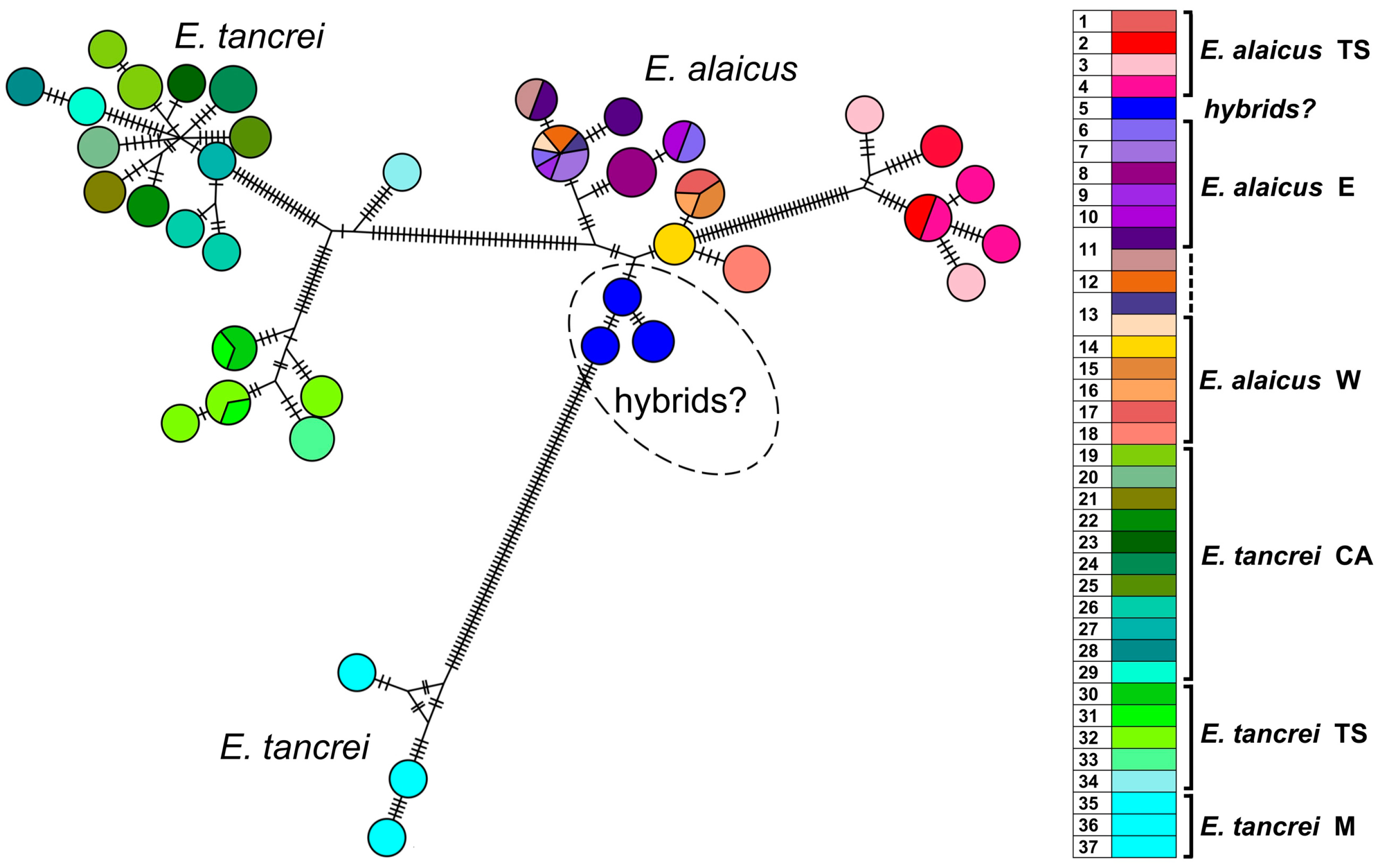 Life 13 01751 g004 Life 13 01751 g004