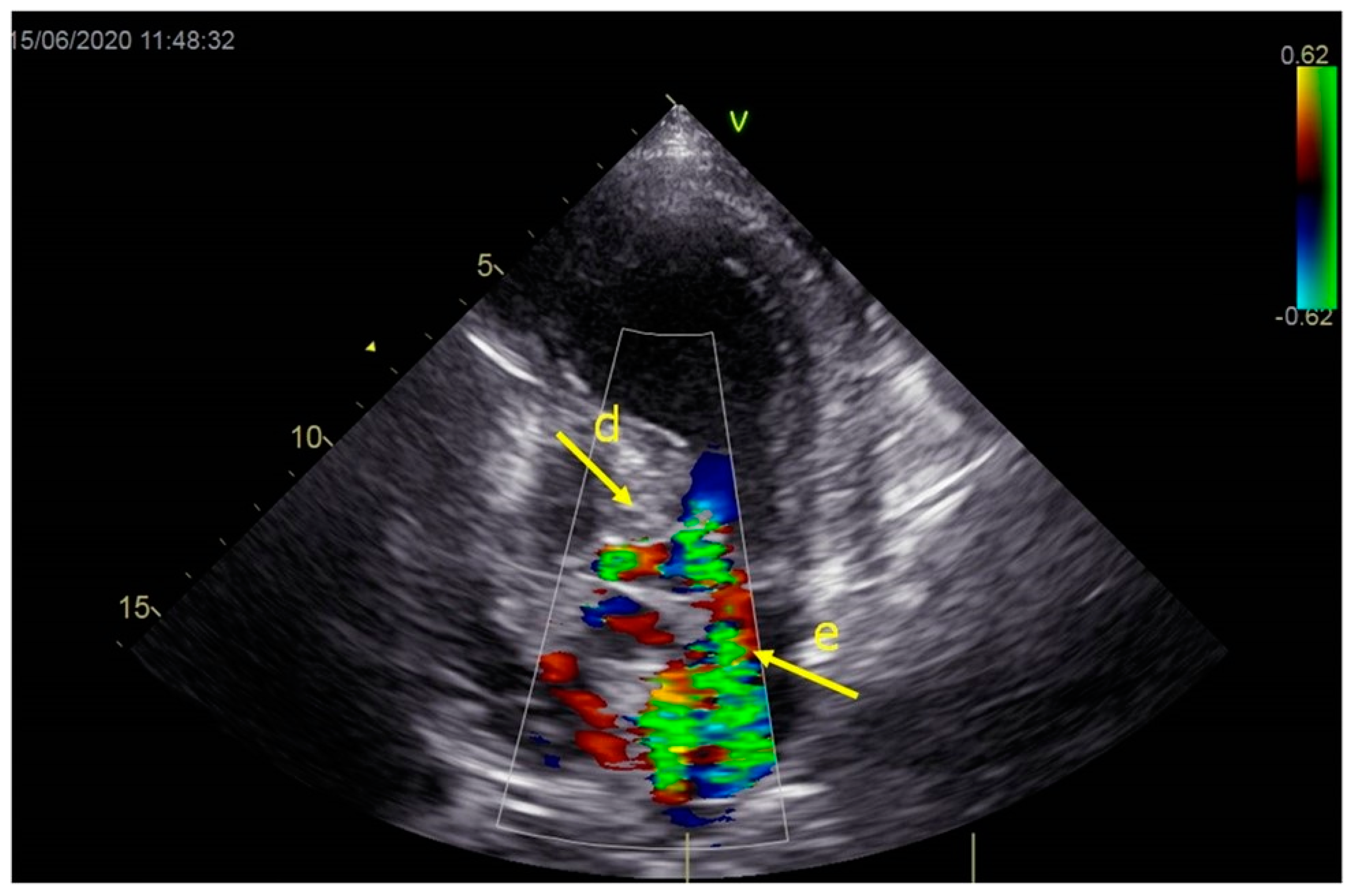 Life 13 01770 g003 Life 13 01770 g003
