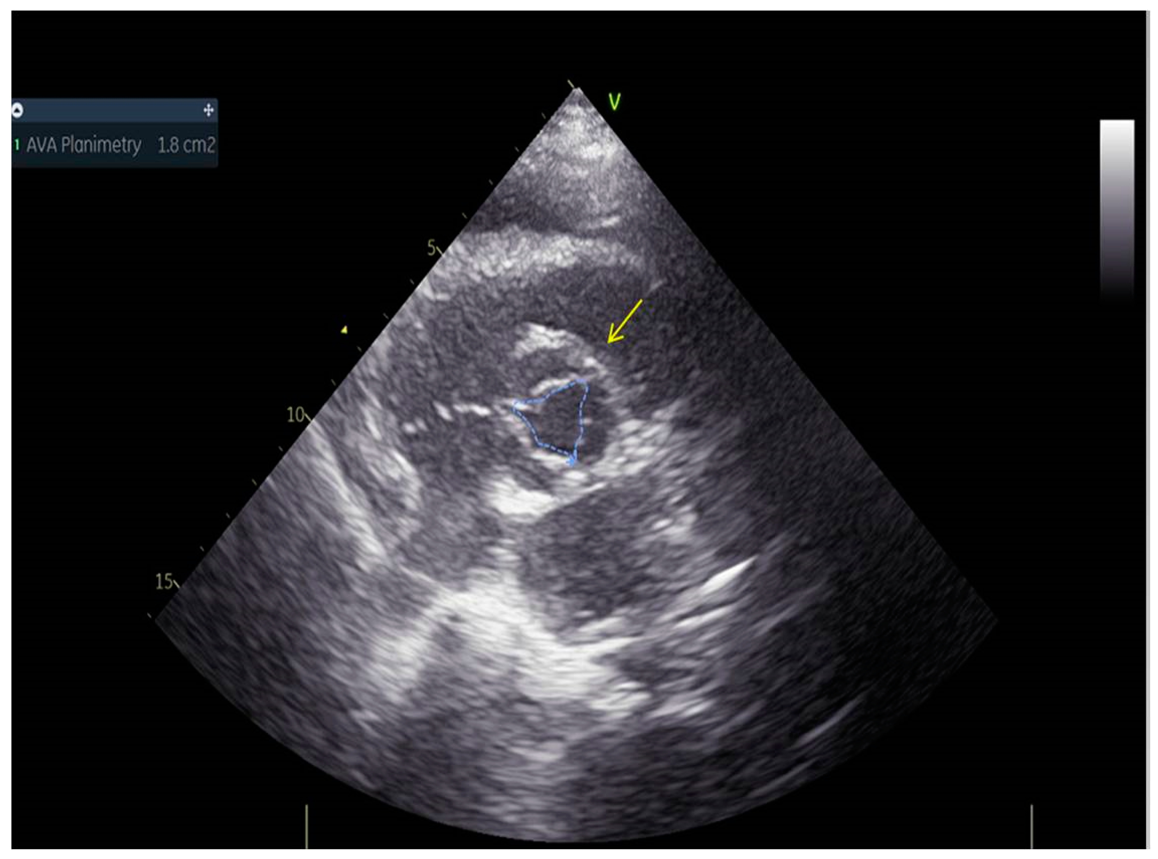 Life 13 01770 g005 Life 13 01770 g005