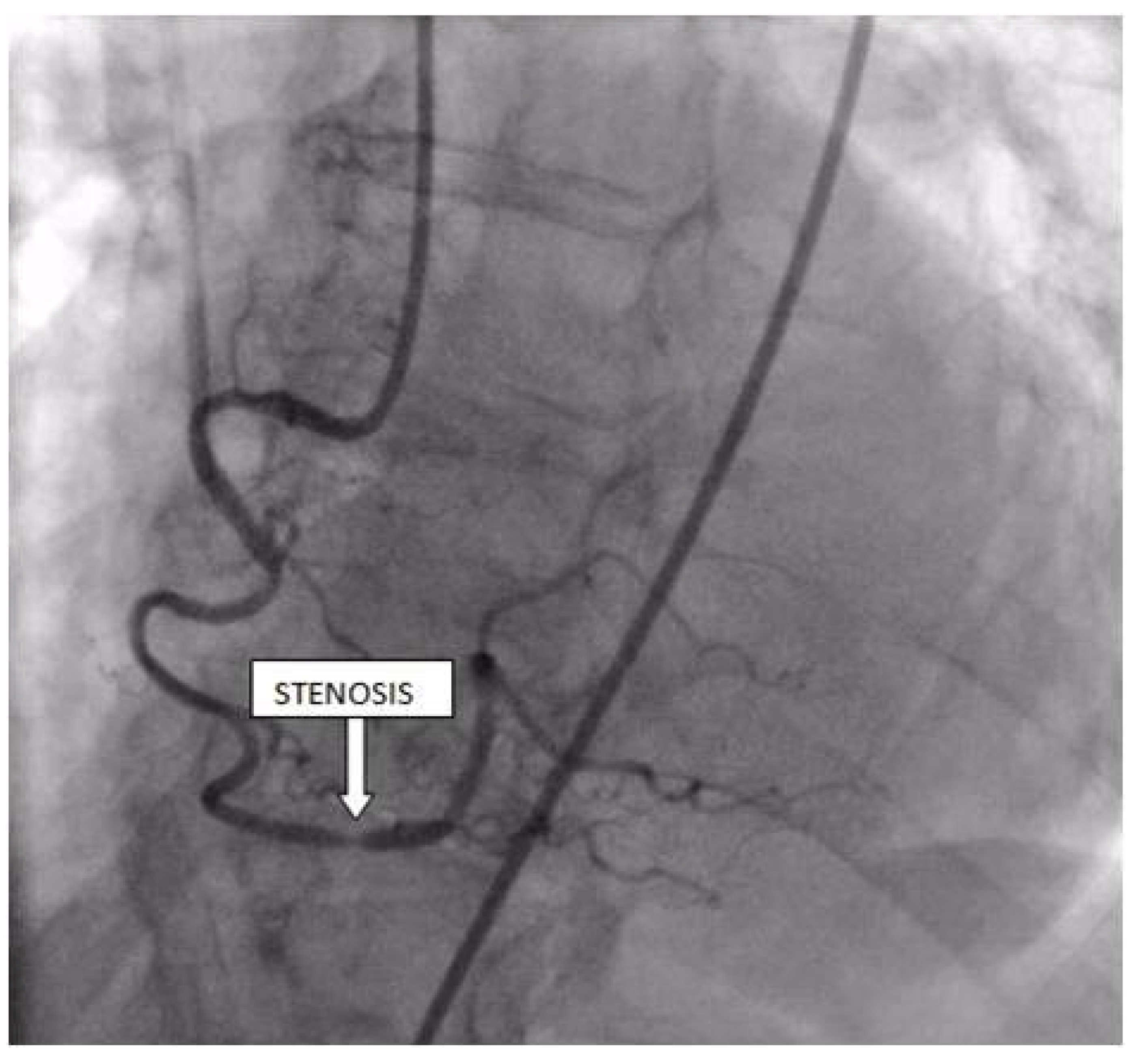 Life 13 01770 g007 Life 13 01770 g007