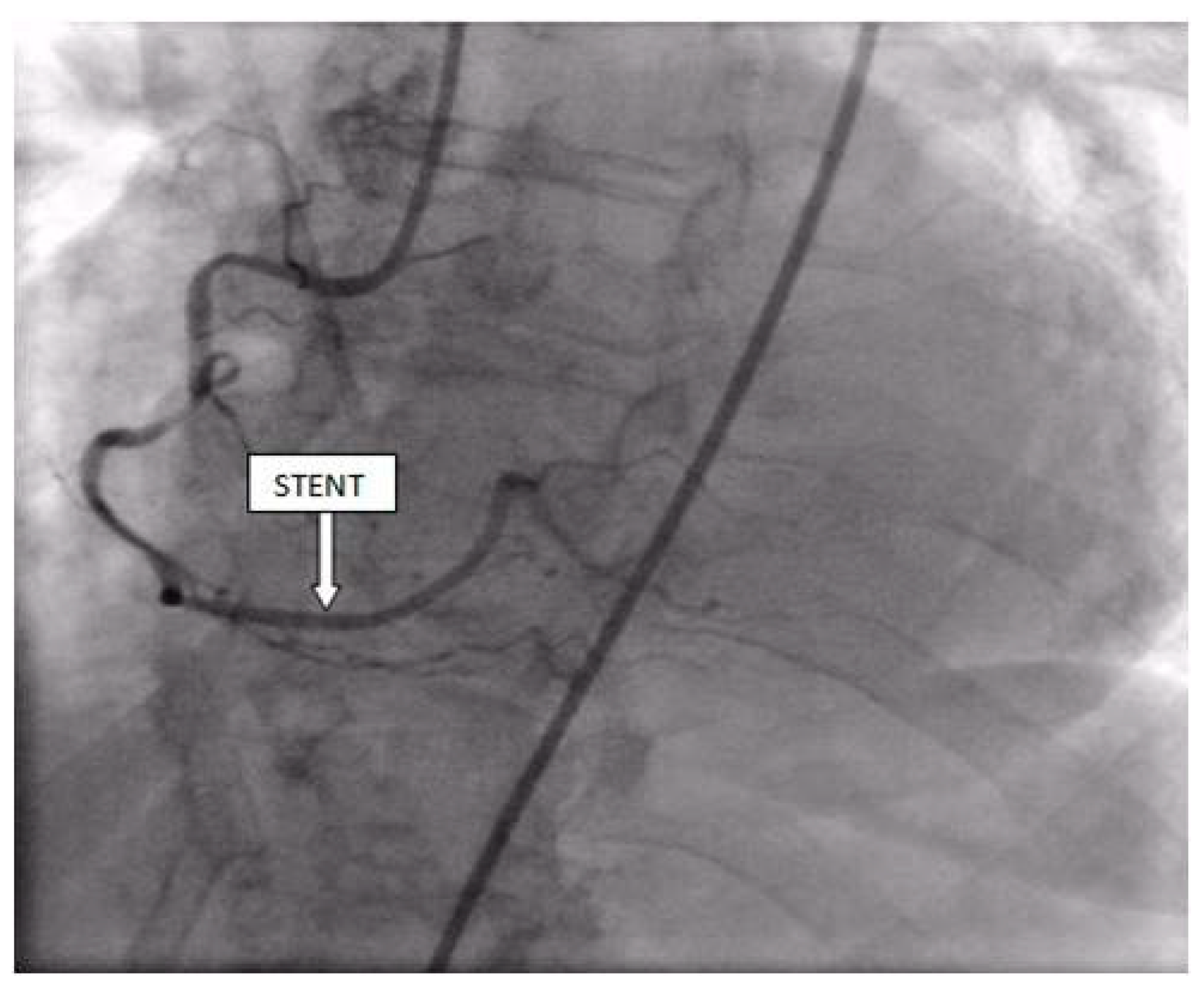 Life 13 01770 g008 Life 13 01770 g008