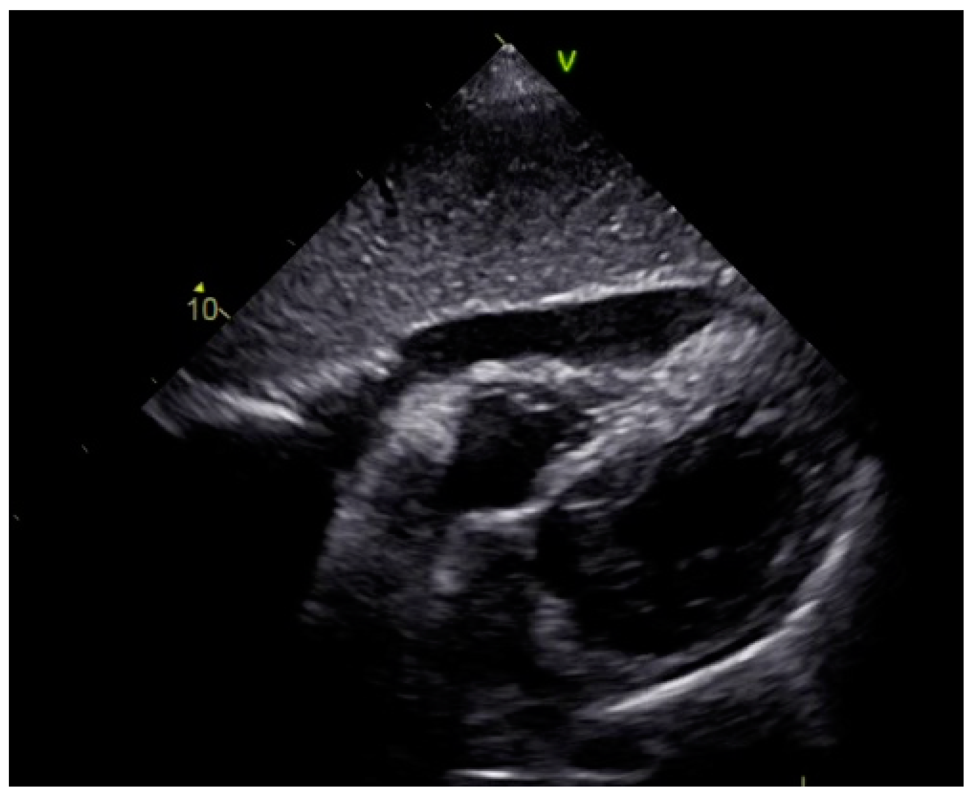 Life 13 01770 g009 Life 13 01770 g009