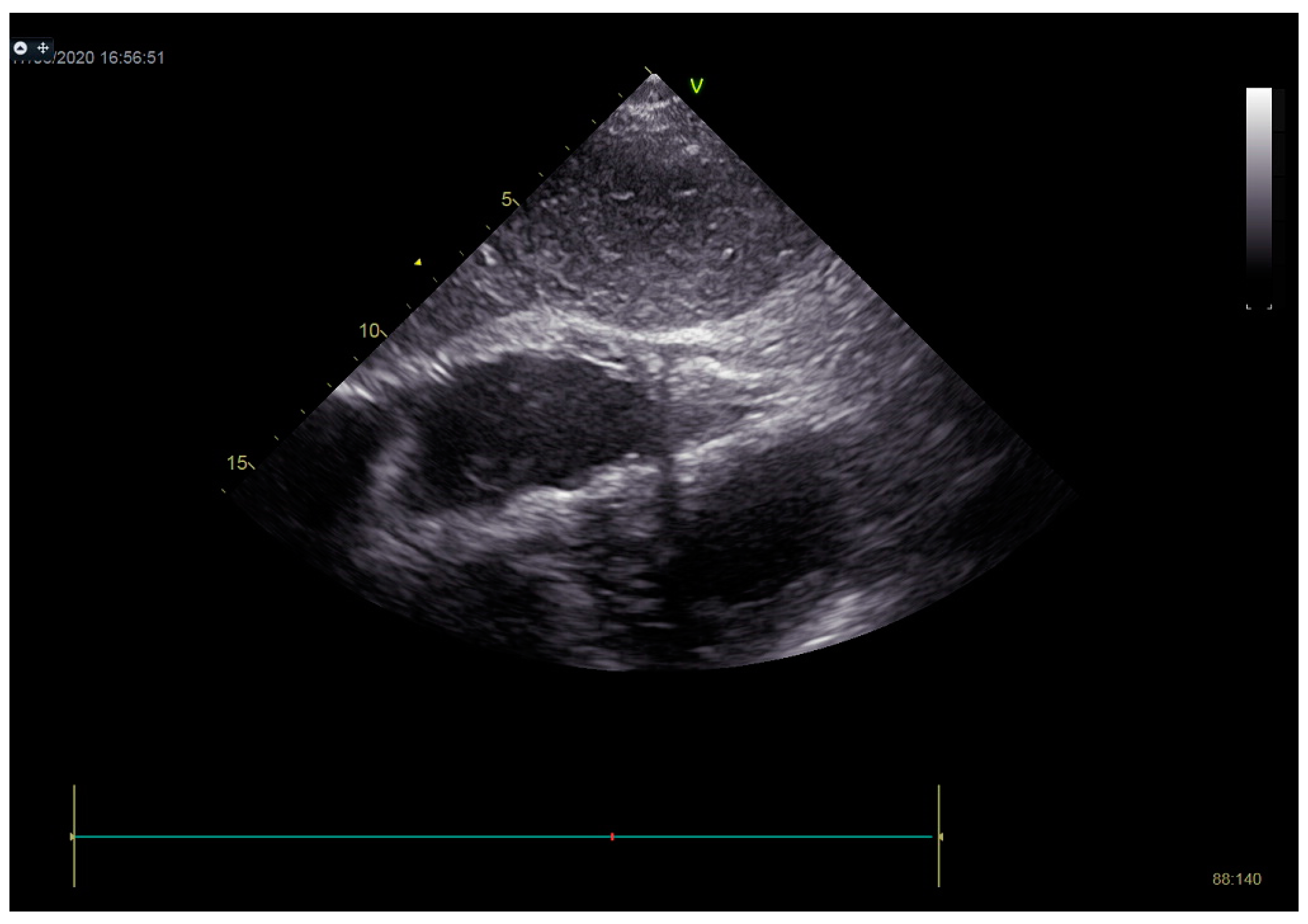 Life 13 01770 g010 Life 13 01770 g010