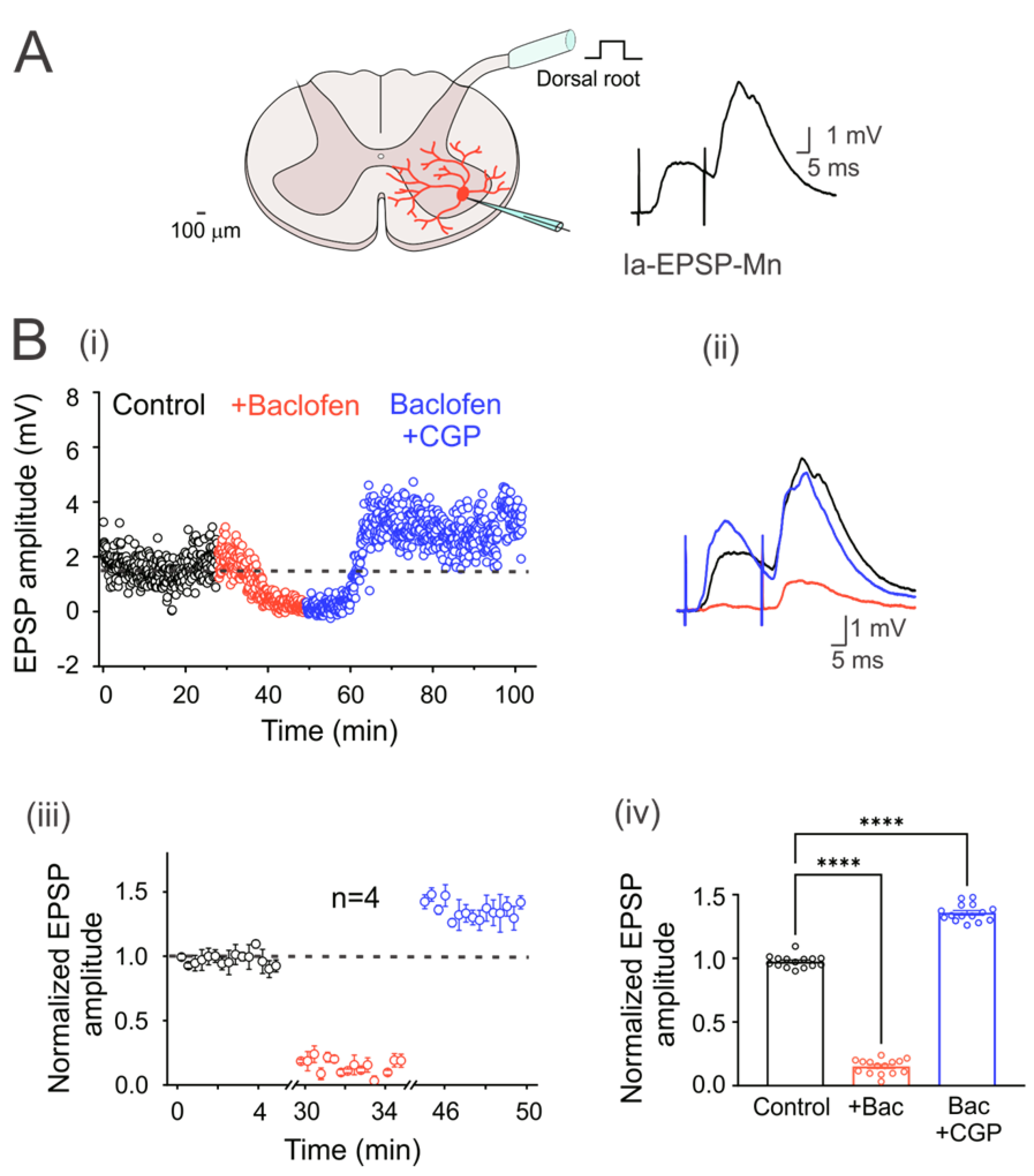 Life 13 01776 g001 Life 13 01776 g001