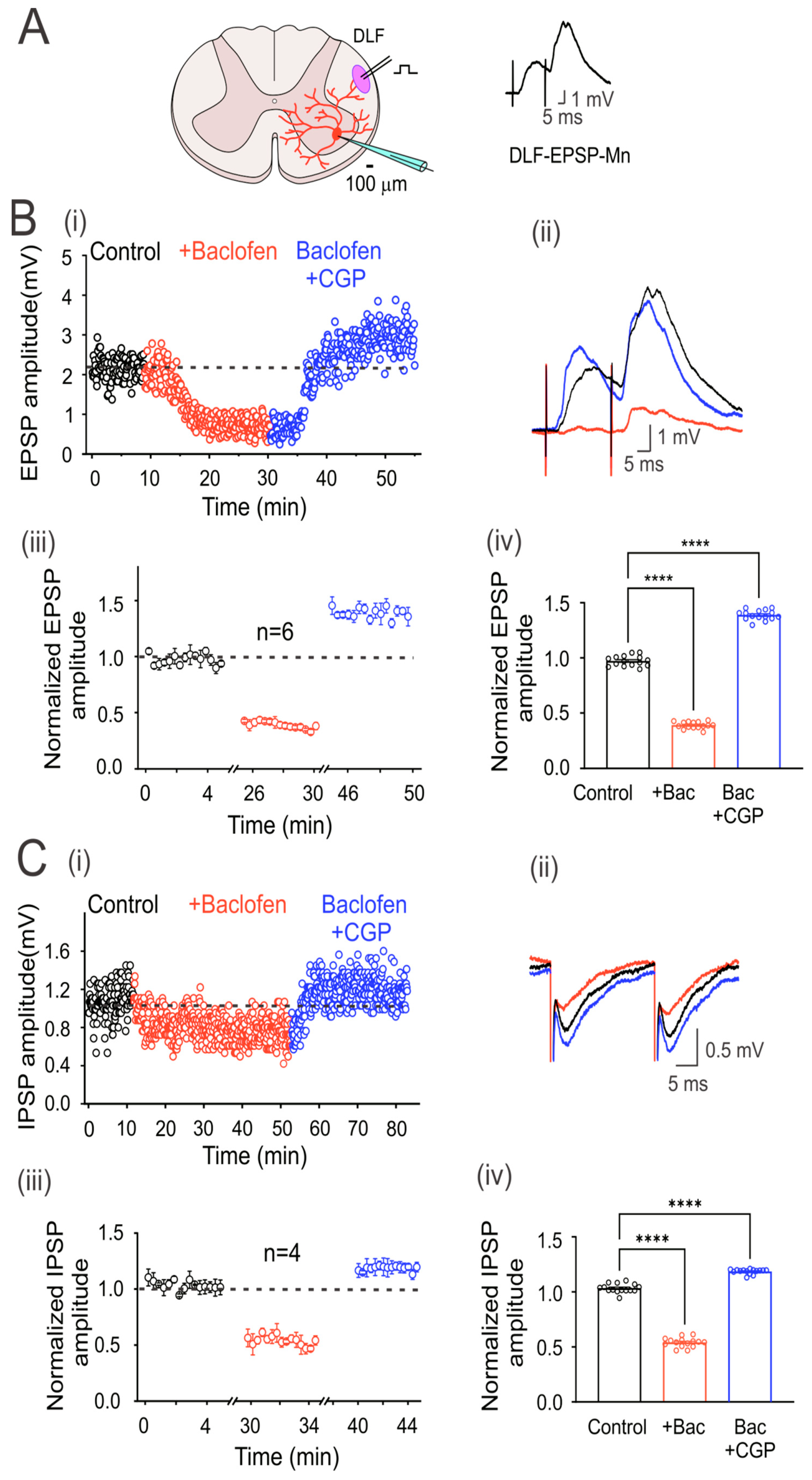 Life 13 01776 g002 Life 13 01776 g002