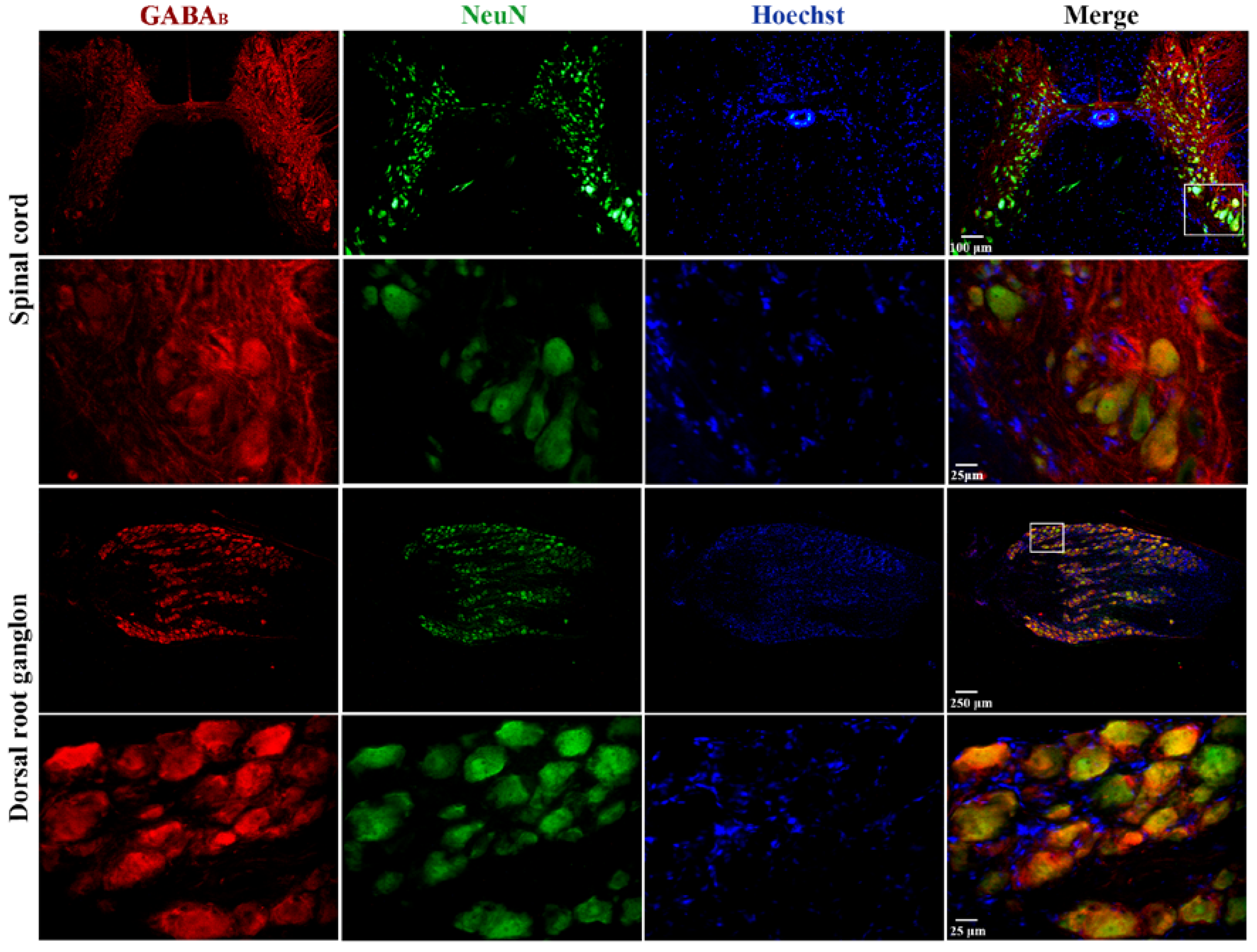 Life 13 01776 g006 Life 13 01776 g006