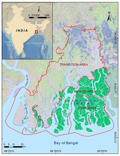 Strata: UNEP's Earth Stress Monitor, Blog