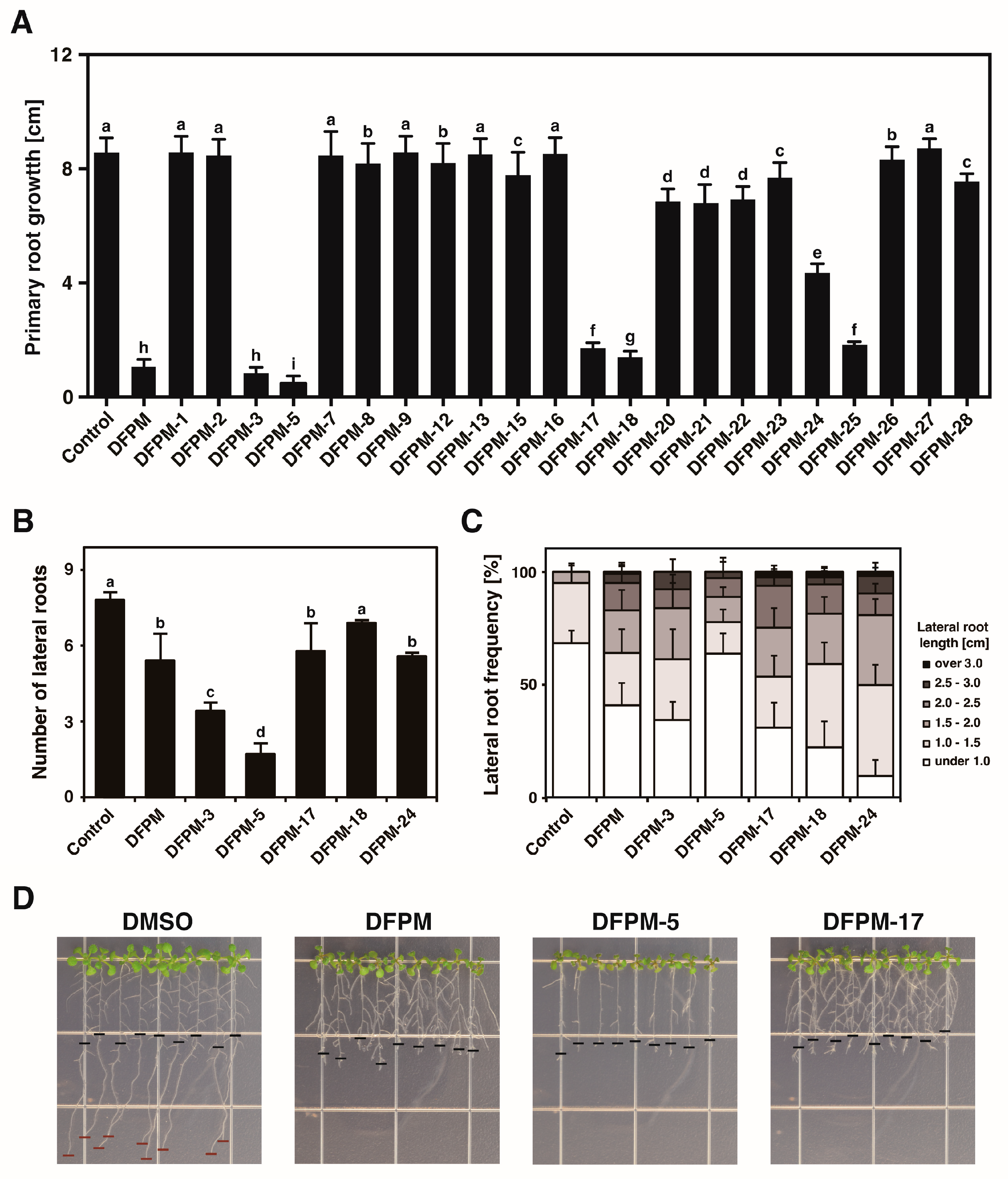 Life 13 01797 g001 Life 13 01797 g001