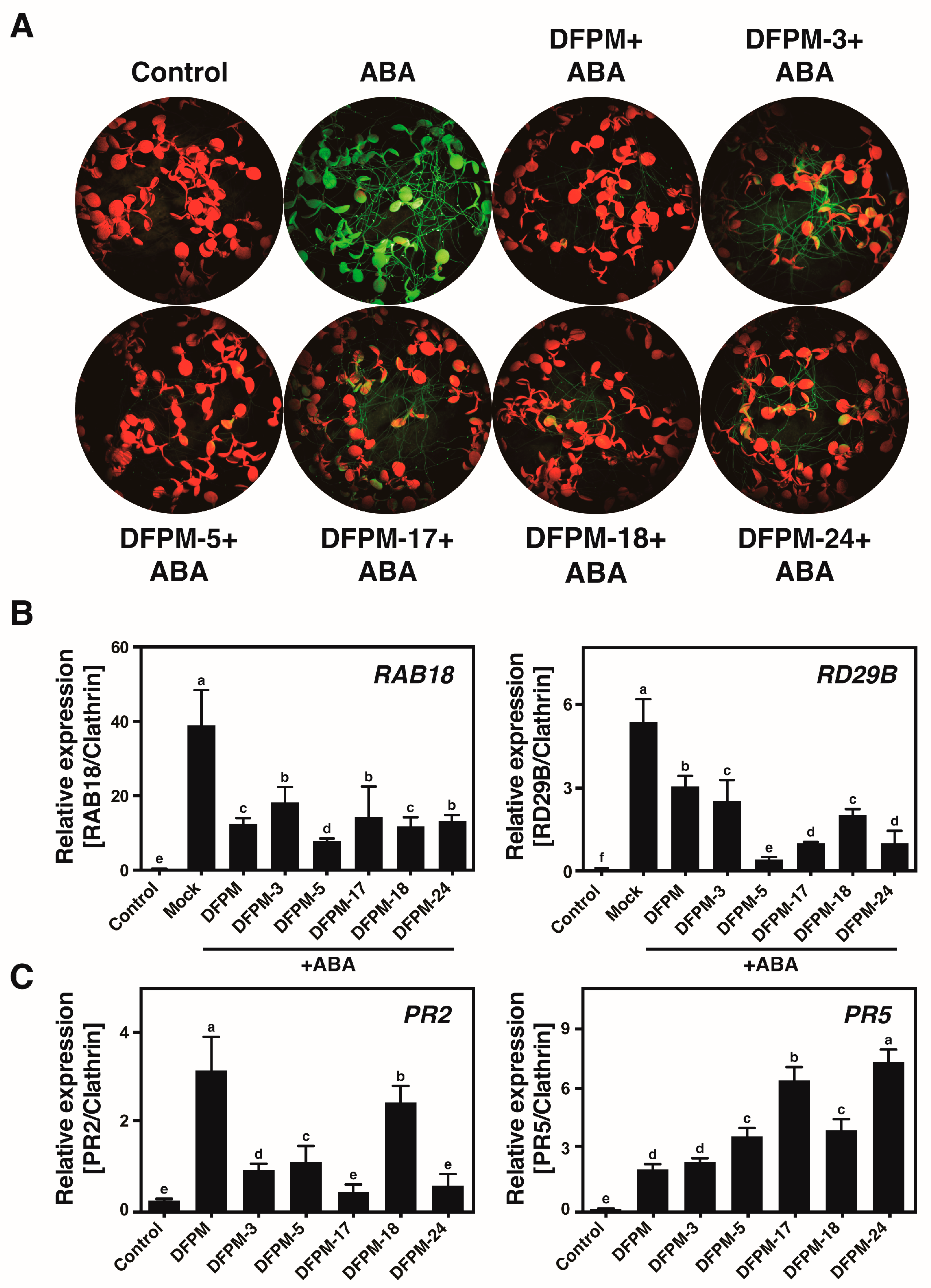 Life 13 01797 g002 Life 13 01797 g002