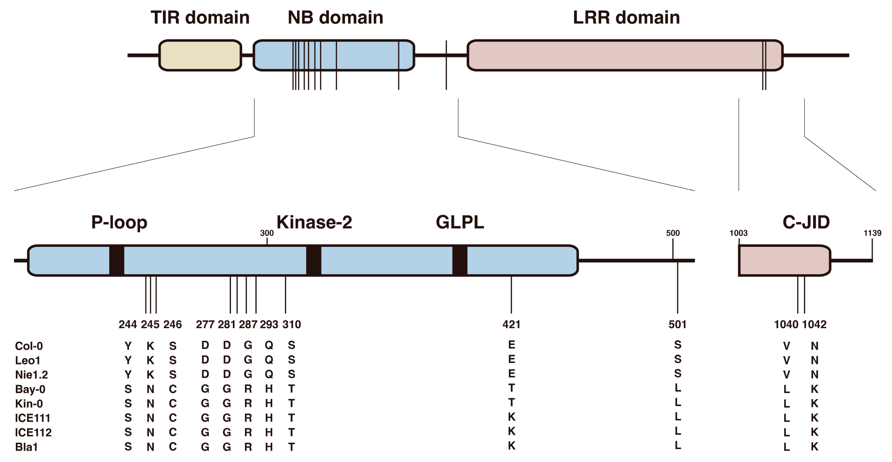 Life 13 01797 g005 Life 13 01797 g005