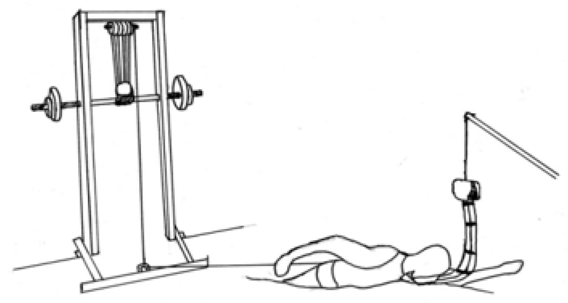 Life 13 01806 g001 Life 13 01806 g001