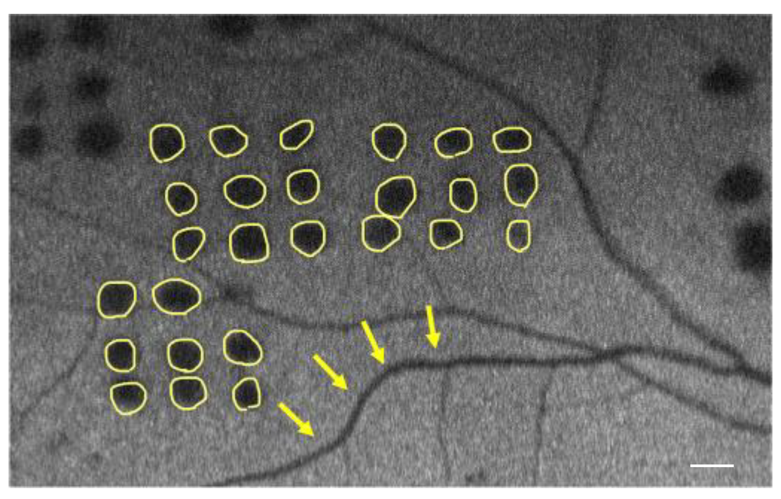 Life 13 01901 g001 Life 13 01901 g001