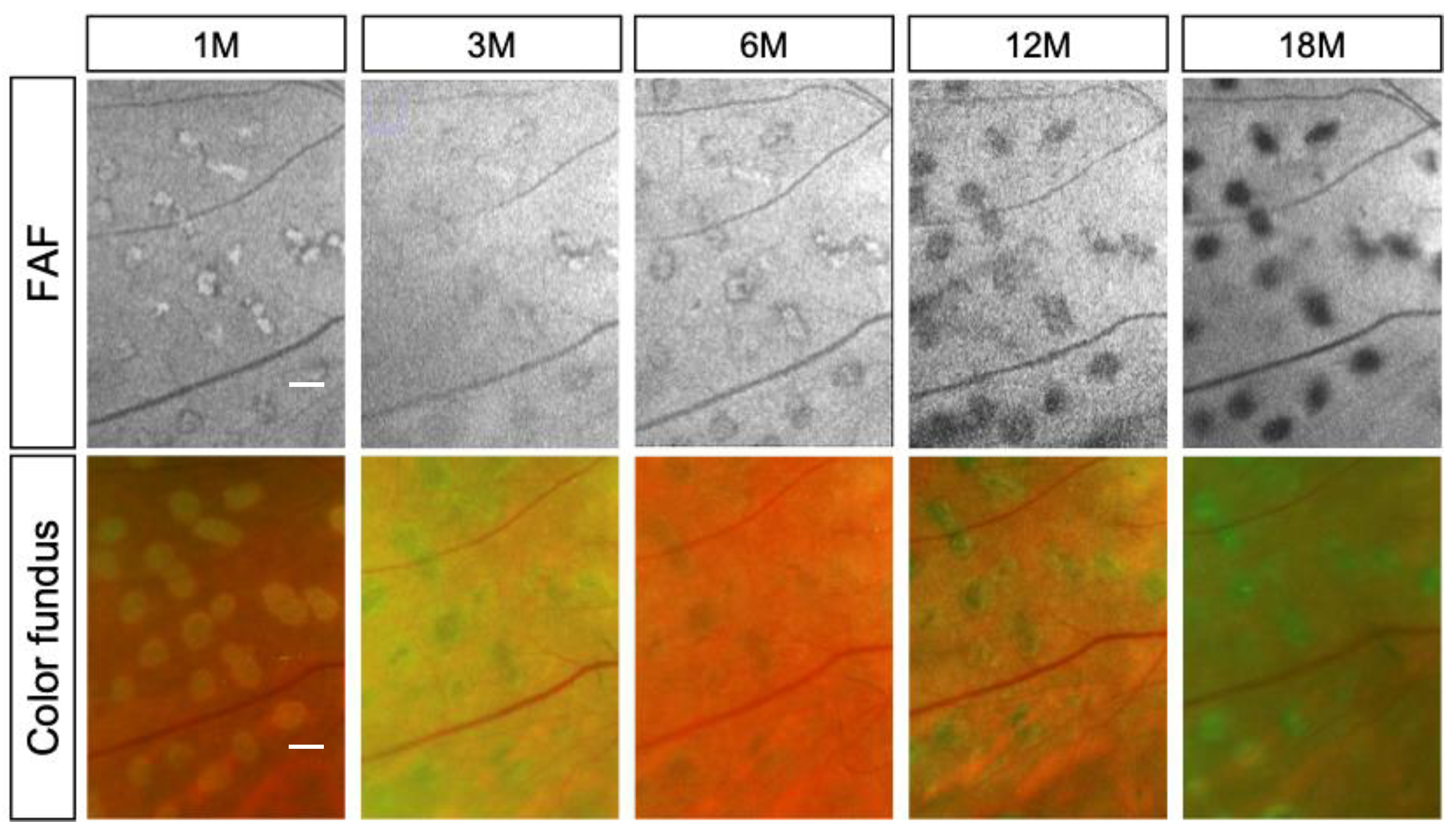 Life 13 01901 g002 Life 13 01901 g002